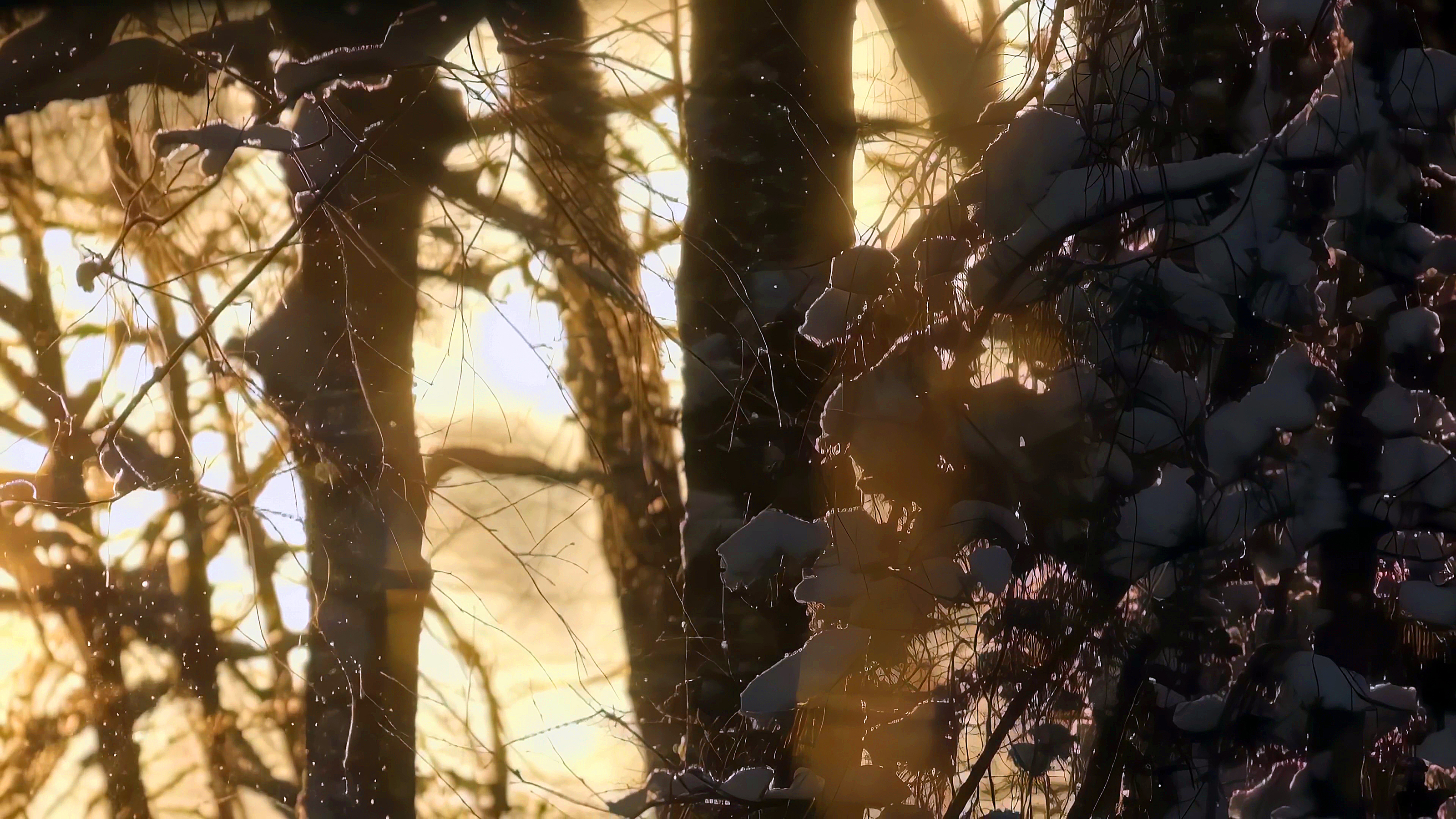 видео портфолио "ЧЕРНОВИК 01" — Изображение №3 — Анимация на Dprofile