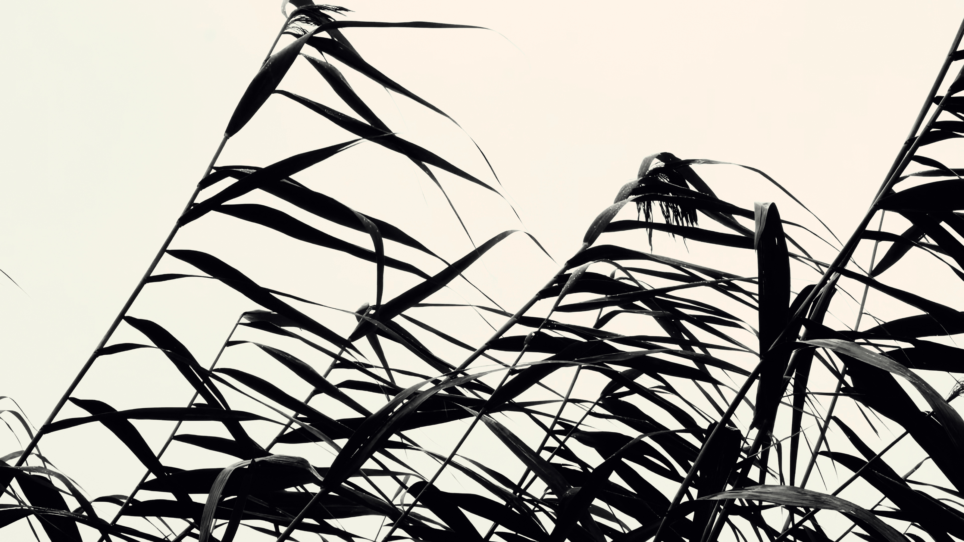 видео портфолио "ЧЕРНОВИК 01" — Изображение №17 — Анимация на Dprofile