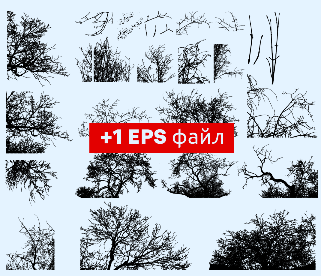 "ВЕТОЧКИ" пак материалов (png, eps, jpeg) — Изображение №8 — Иллюстрация, Графика на Dprofile