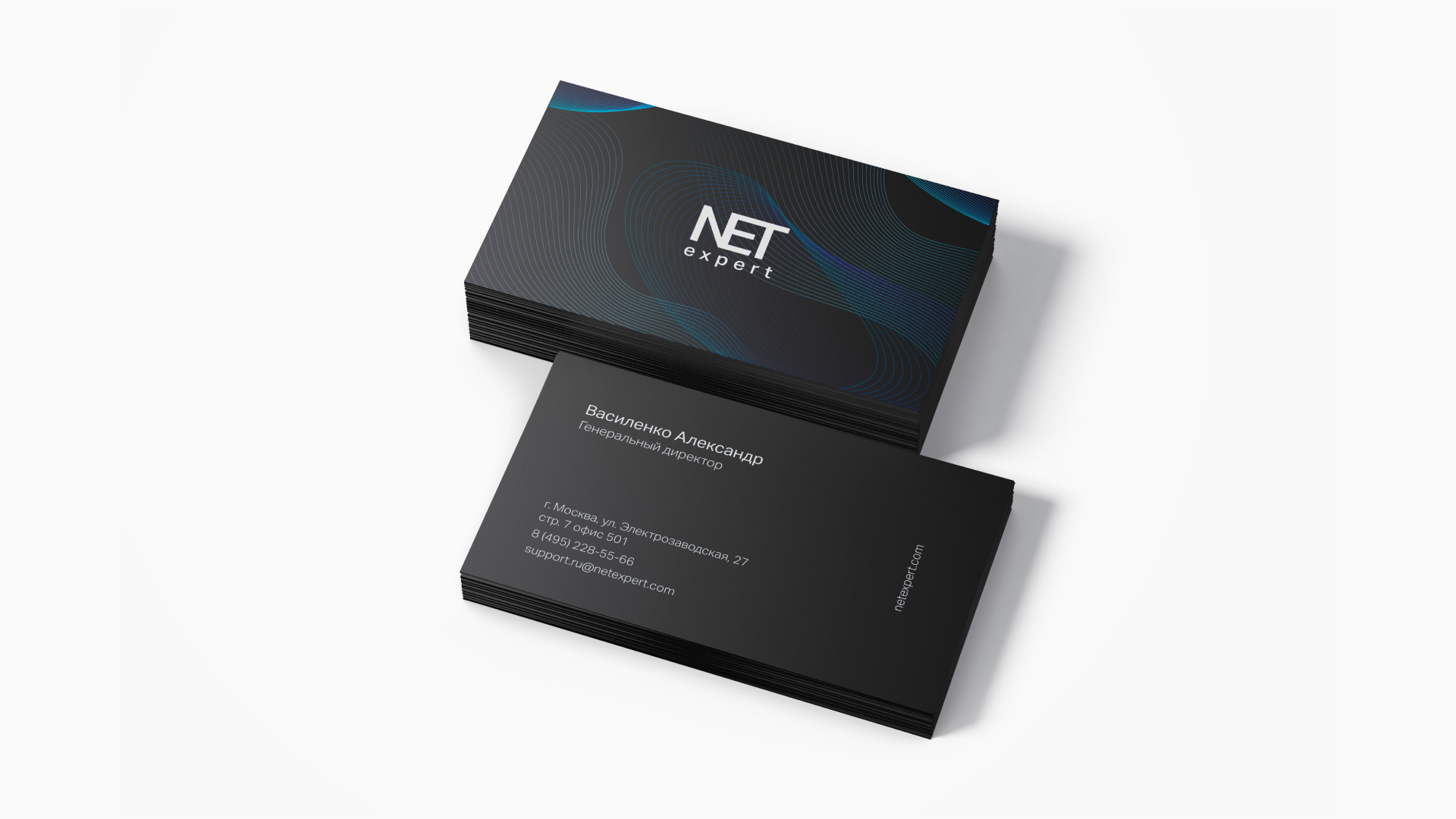 Оформление для компании Net expert — Изображение №6 — Брендинг на Dprofile