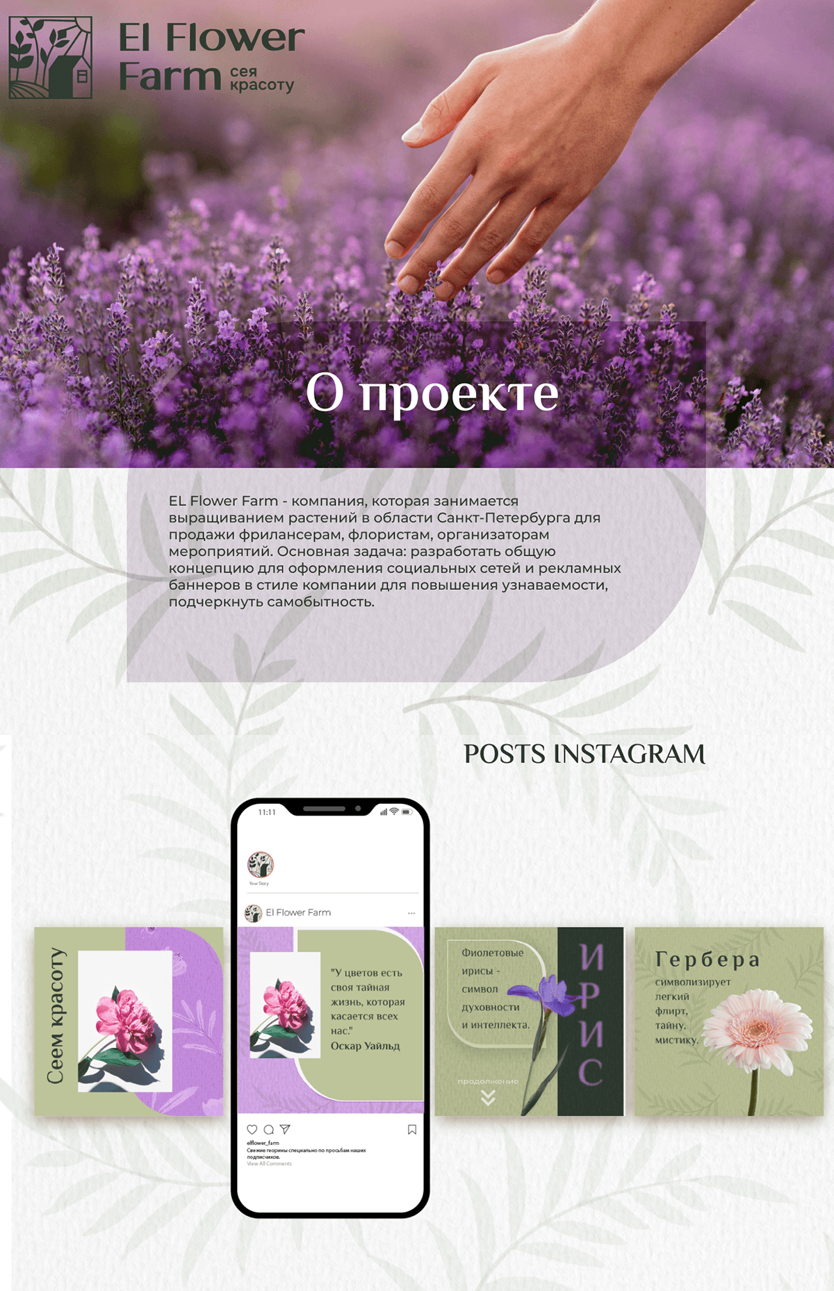 Дизайн социальных сетей/ Дизайн веб-баннеров — Изображение №1 — Интерфейсы, Маркетинг на Dprofile