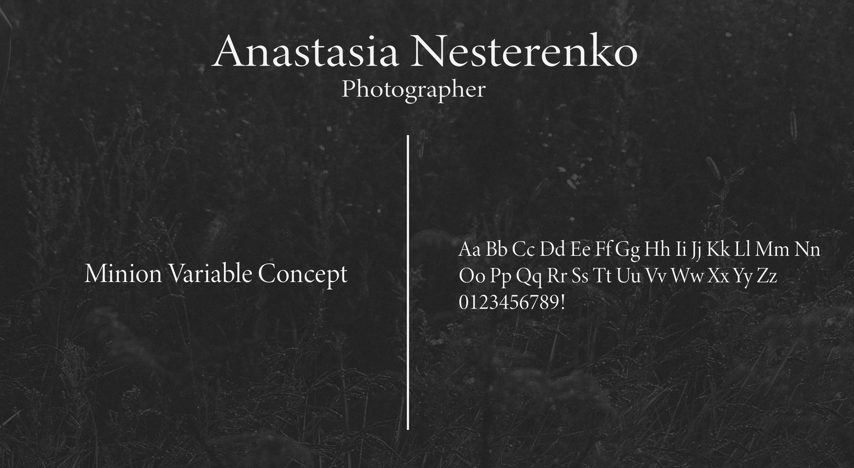 Фотограф Anastasia Nesterenko — Изображение №5 — Брендинг на Dprofile