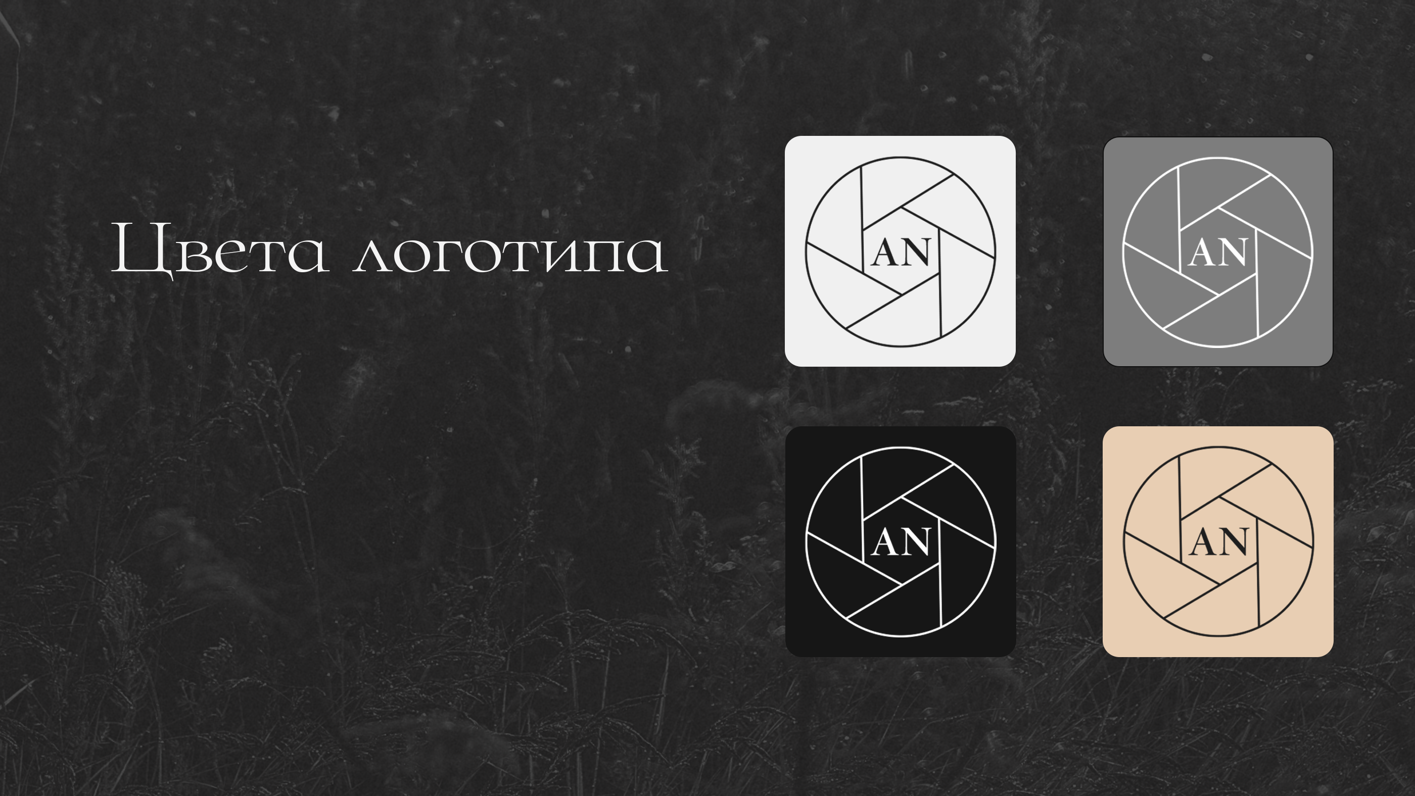 Фотограф Anastasia Nesterenko — Изображение №4 — Брендинг на Dprofile