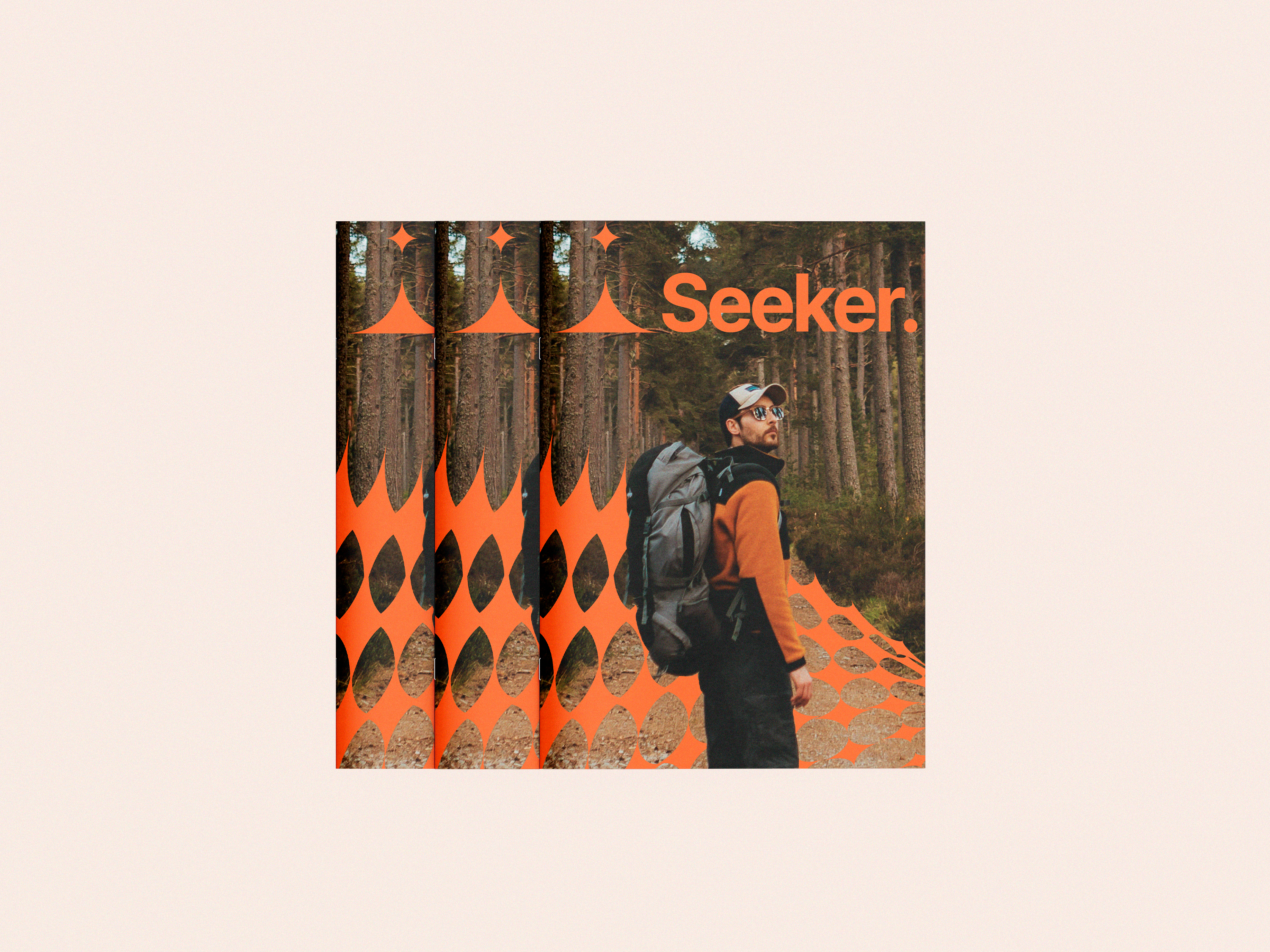 Seeker. — Изображение №7 — Брендинг на Dprofile