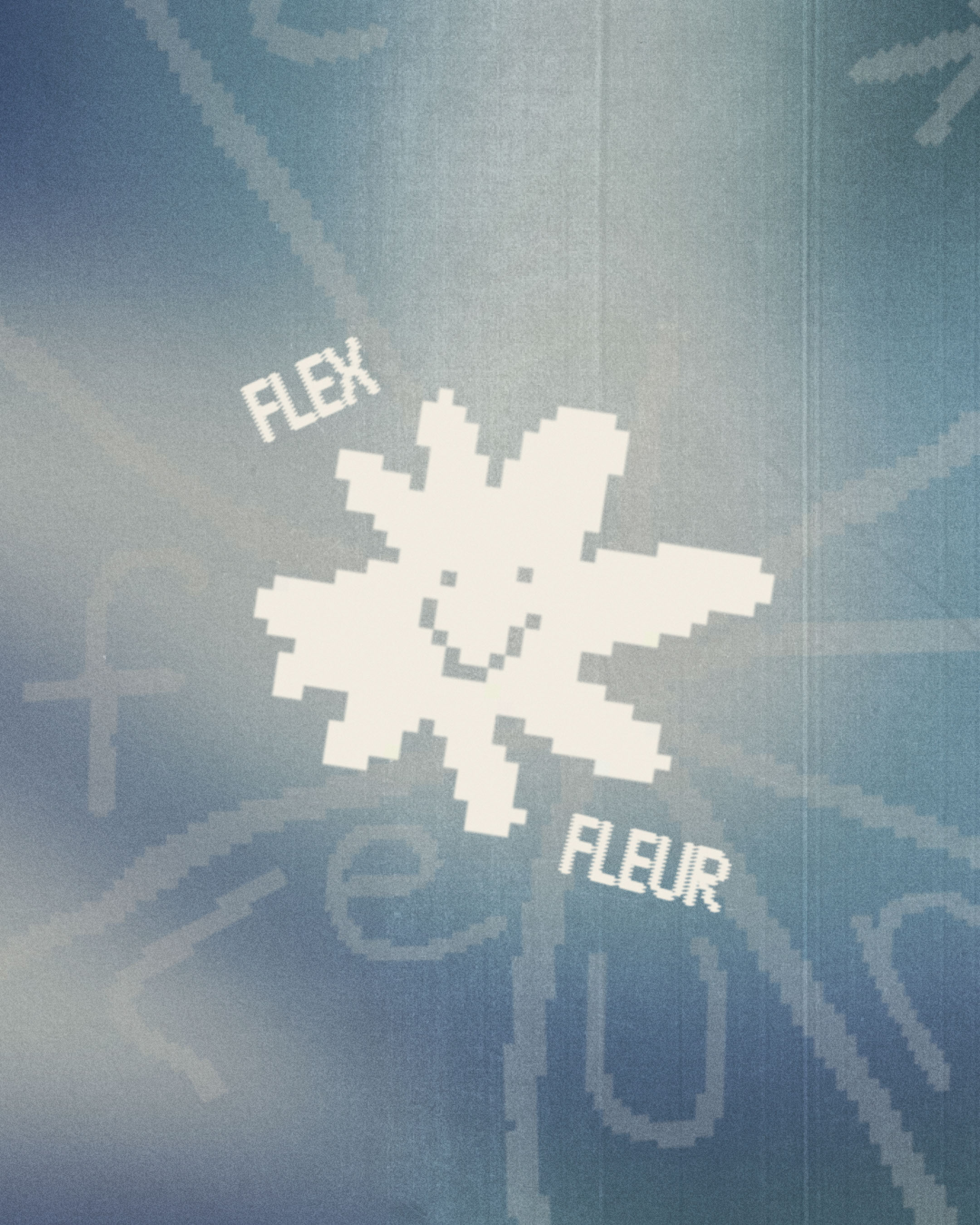Flex Fleur / Визуальная концепция — Изображение №9 — Брендинг, Иллюстрация на Dprofile
