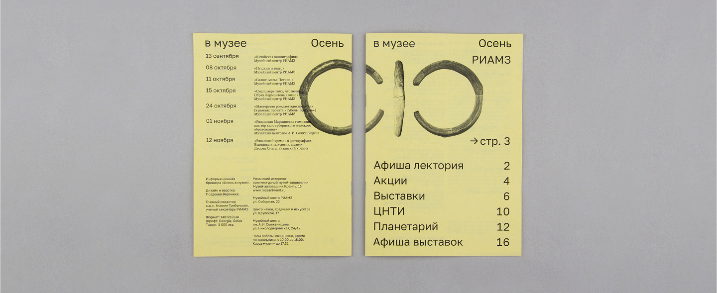 Разработка издательской программы для РИАМЗа — Изображение №4 — Графика на Dprofile