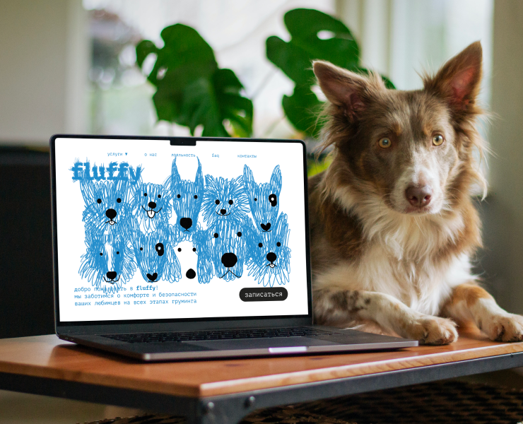 Fluffy — Брендинг на Dprofile