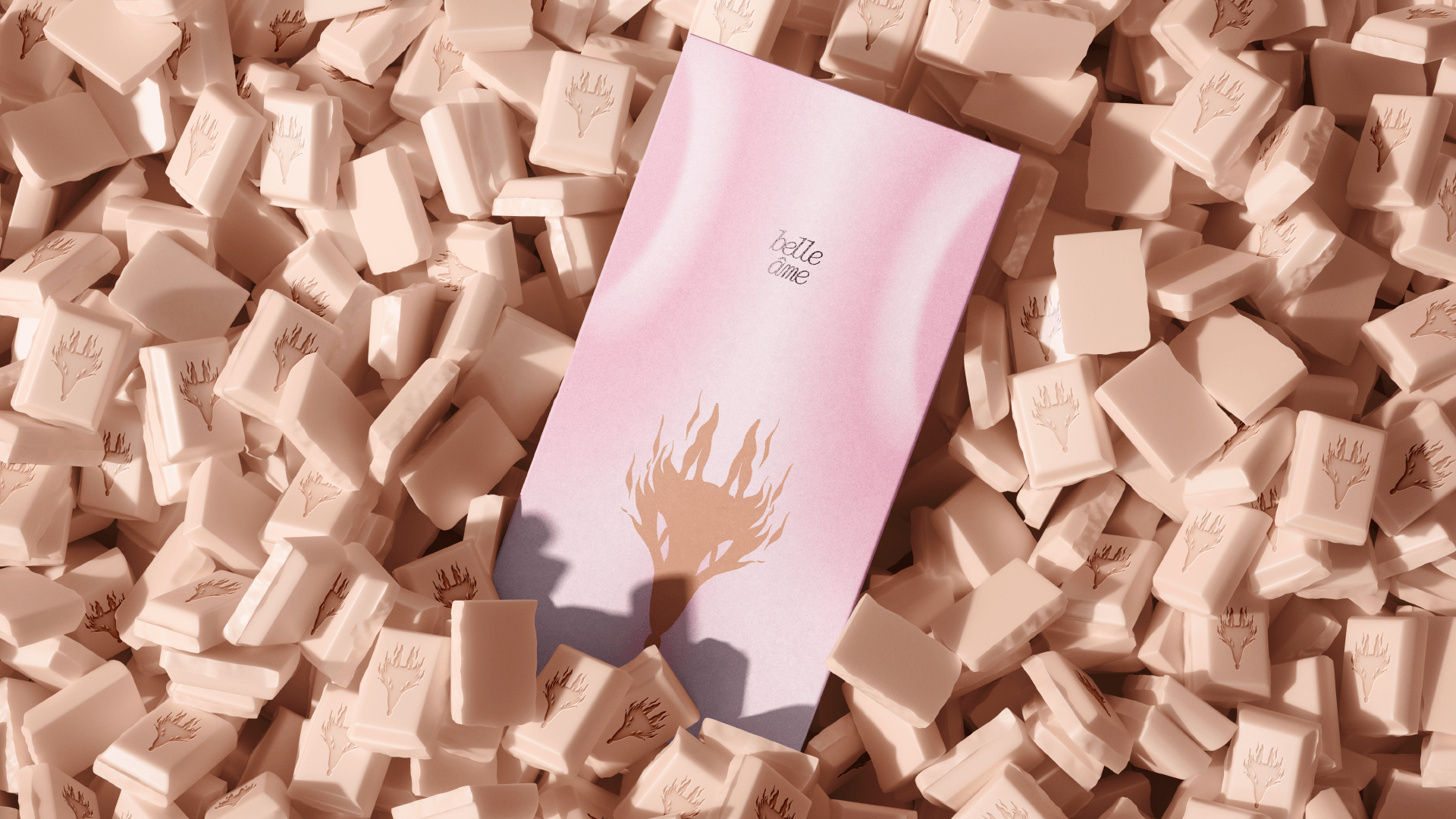 belle âme — Изображение №4 — Брендинг, Иллюстрация на Dprofile