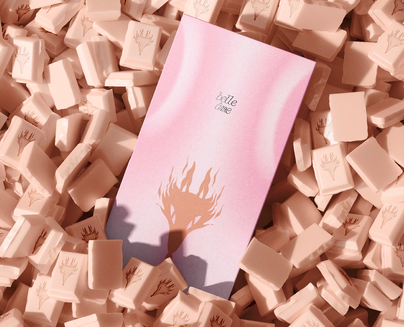 belle âme — Брендинг, Иллюстрация на Dprofile