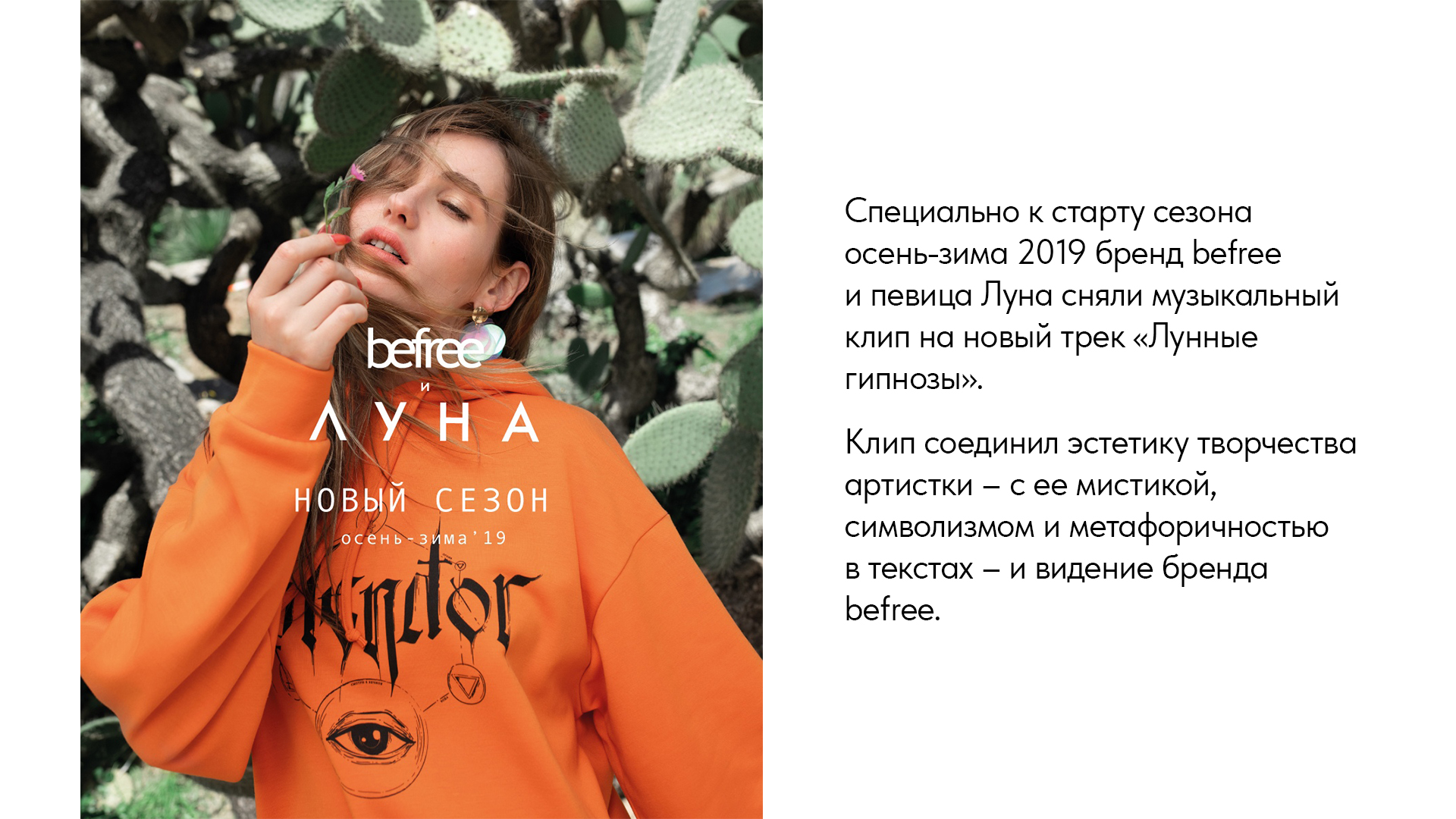 Промо видео для магазинов BeFree — Изображение №2 — Анимация, Маркетинг на Dprofile