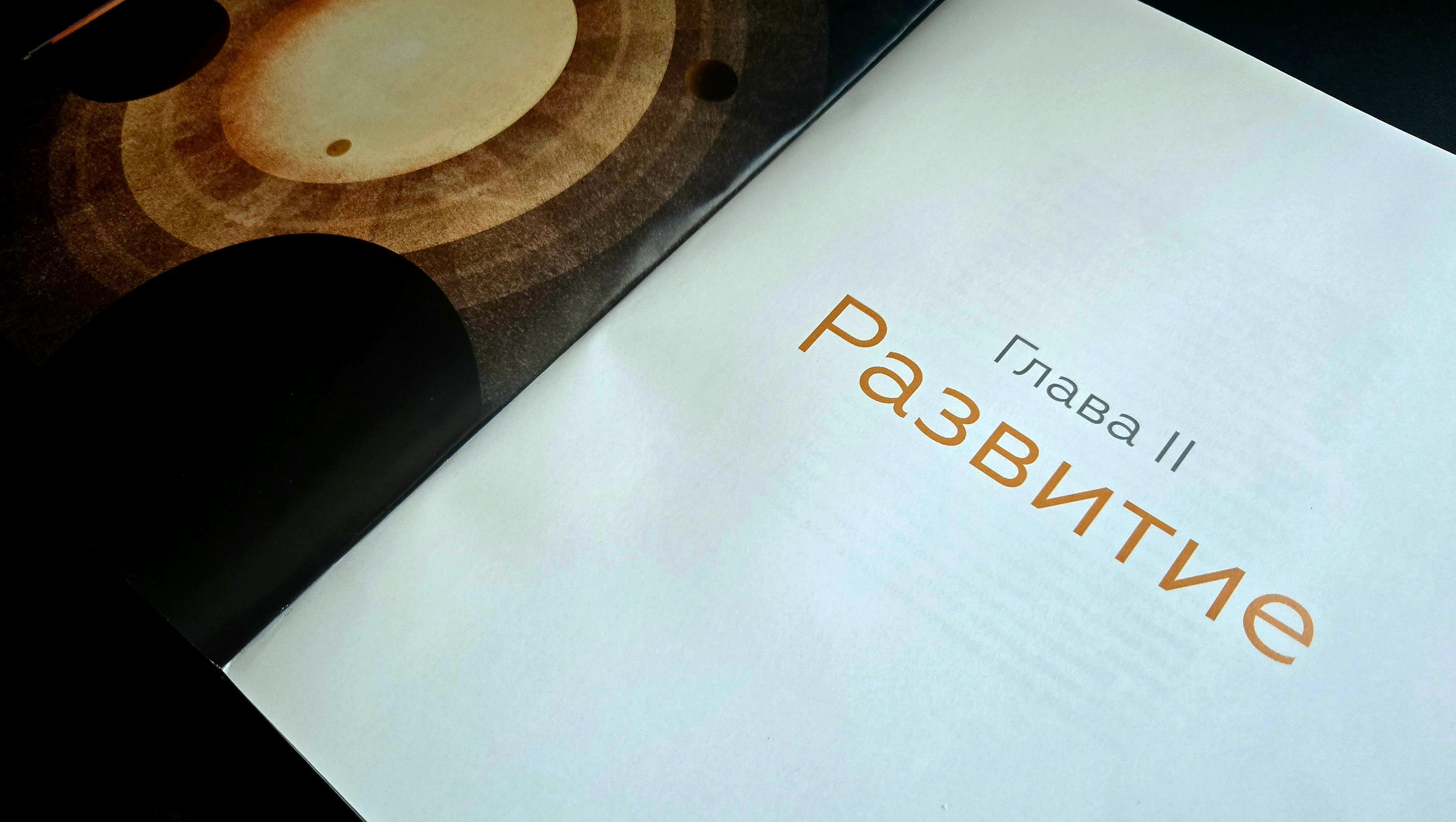 Дизайн книги Стрелец А — Изображение №11 — Иллюстрация, Графика на Dprofile