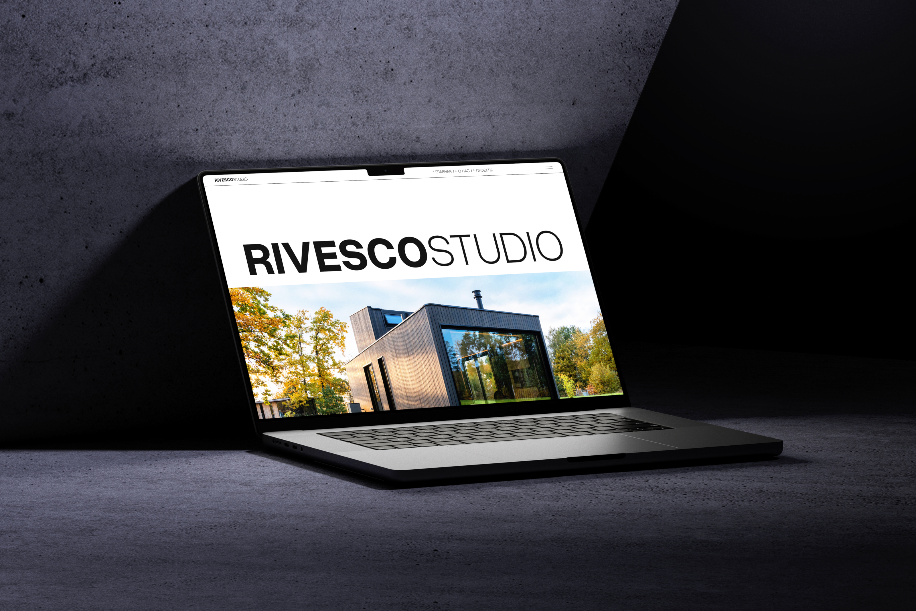 RivescoStudio — Изображение №1 — Интерфейсы, Анимация на Dprofile