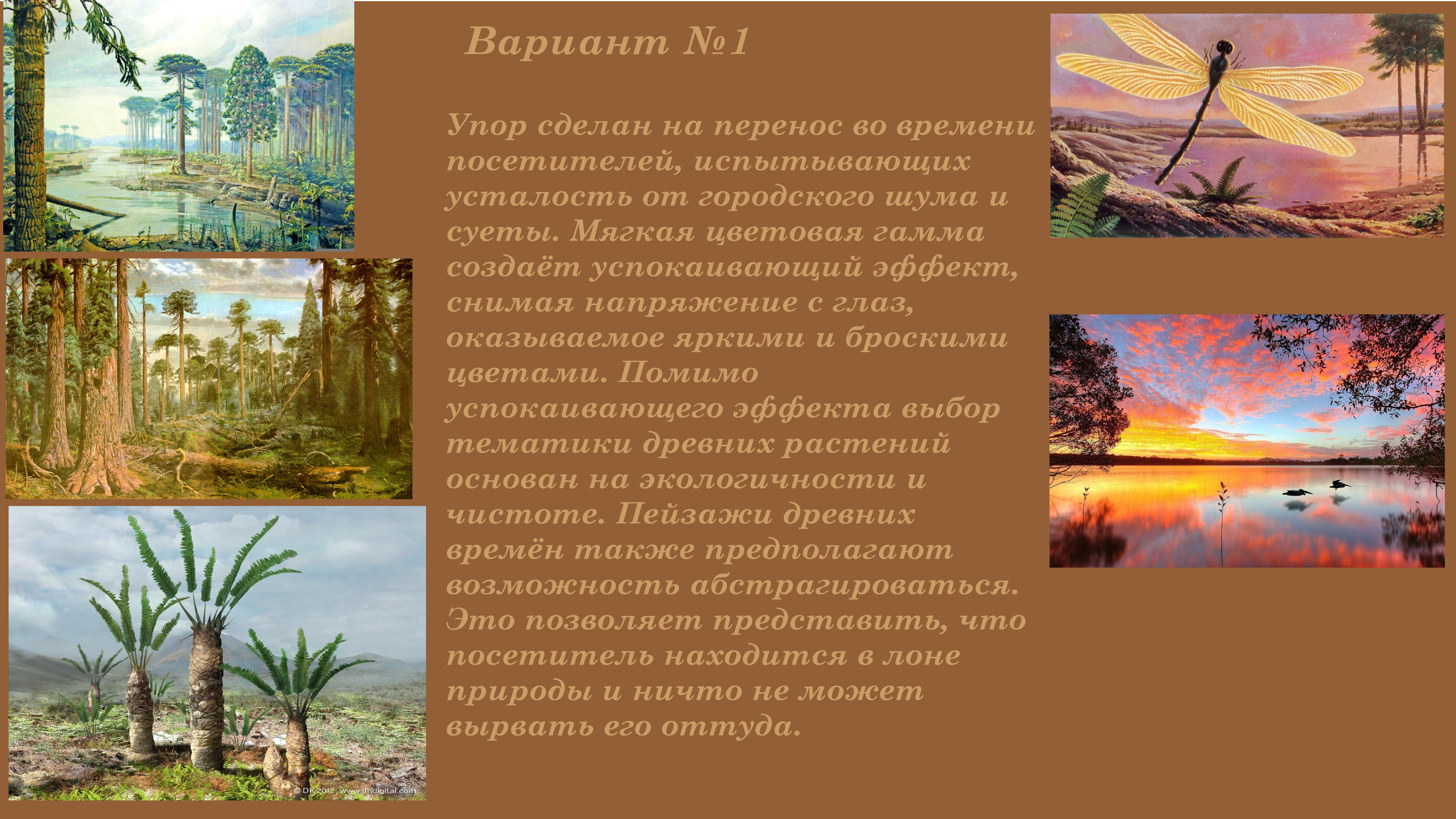 Оформление фирменного стиля кофейни Soffa — Изображение №4 — Брендинг на Dprofile