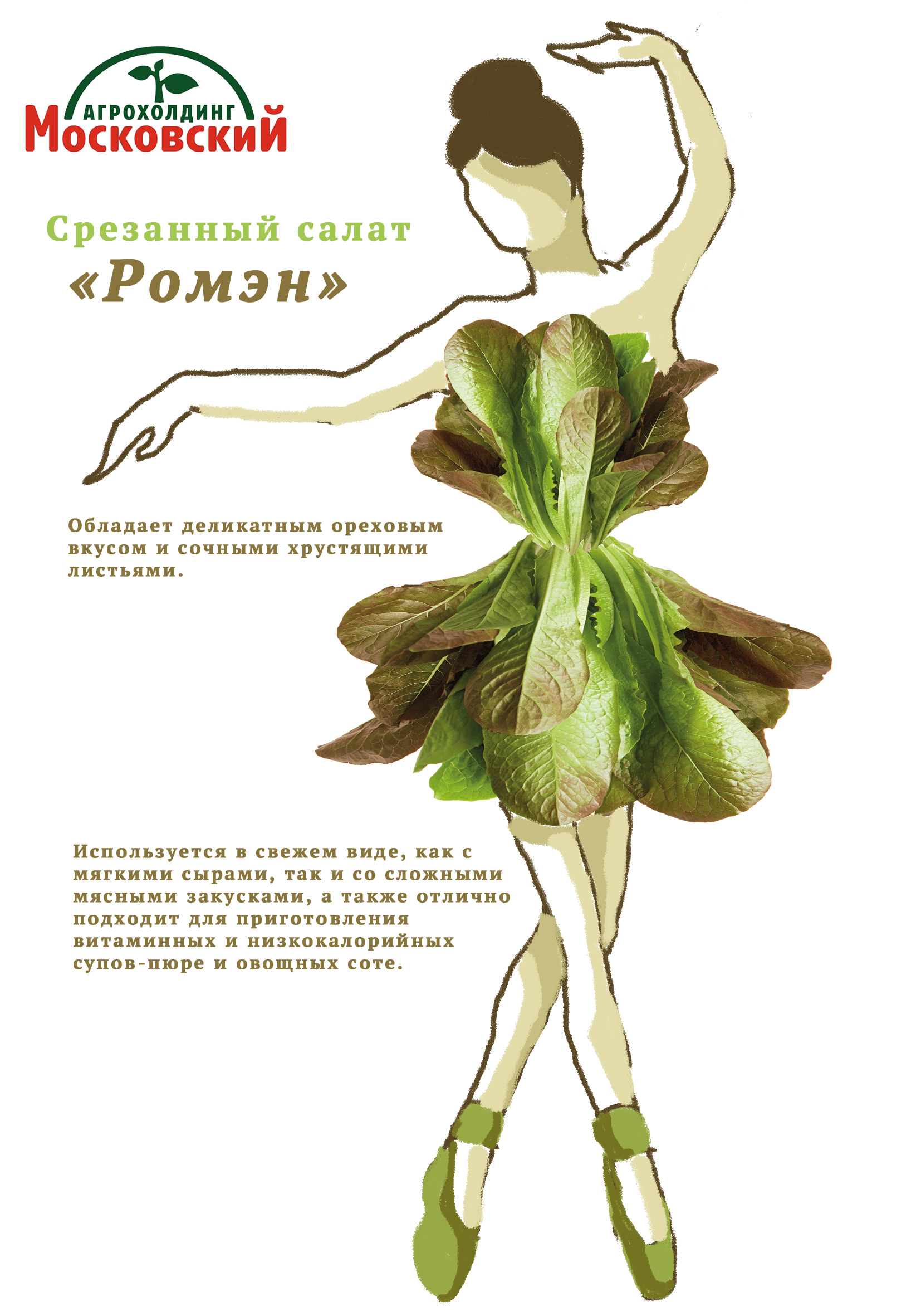 Дизайн упаковки для срезанных салатов — Изображение №6 — Интерфейсы, Брендинг на Dprofile