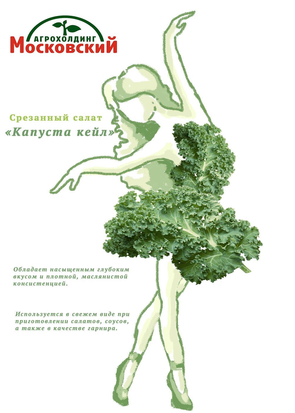 Дизайн упаковки для срезанных салатов — Изображение №8 — Интерфейсы, Брендинг на Dprofile
