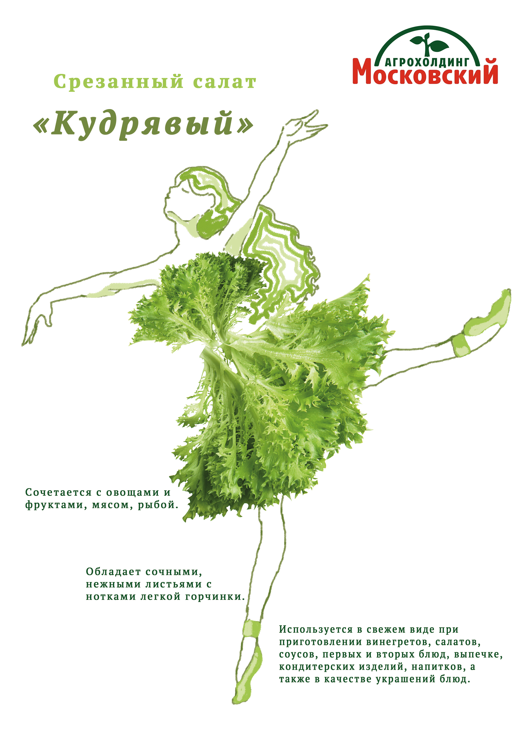 Дизайн упаковки для срезанных салатов — Изображение №4 — Интерфейсы, Брендинг на Dprofile