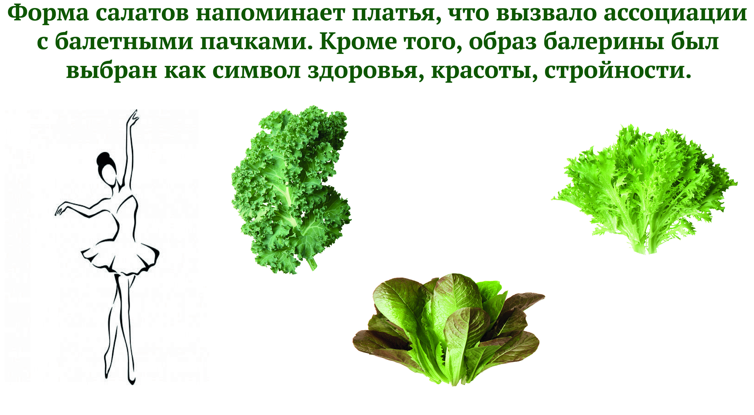 Дизайн упаковки для срезанных салатов — Изображение №3 — Интерфейсы, Брендинг на Dprofile