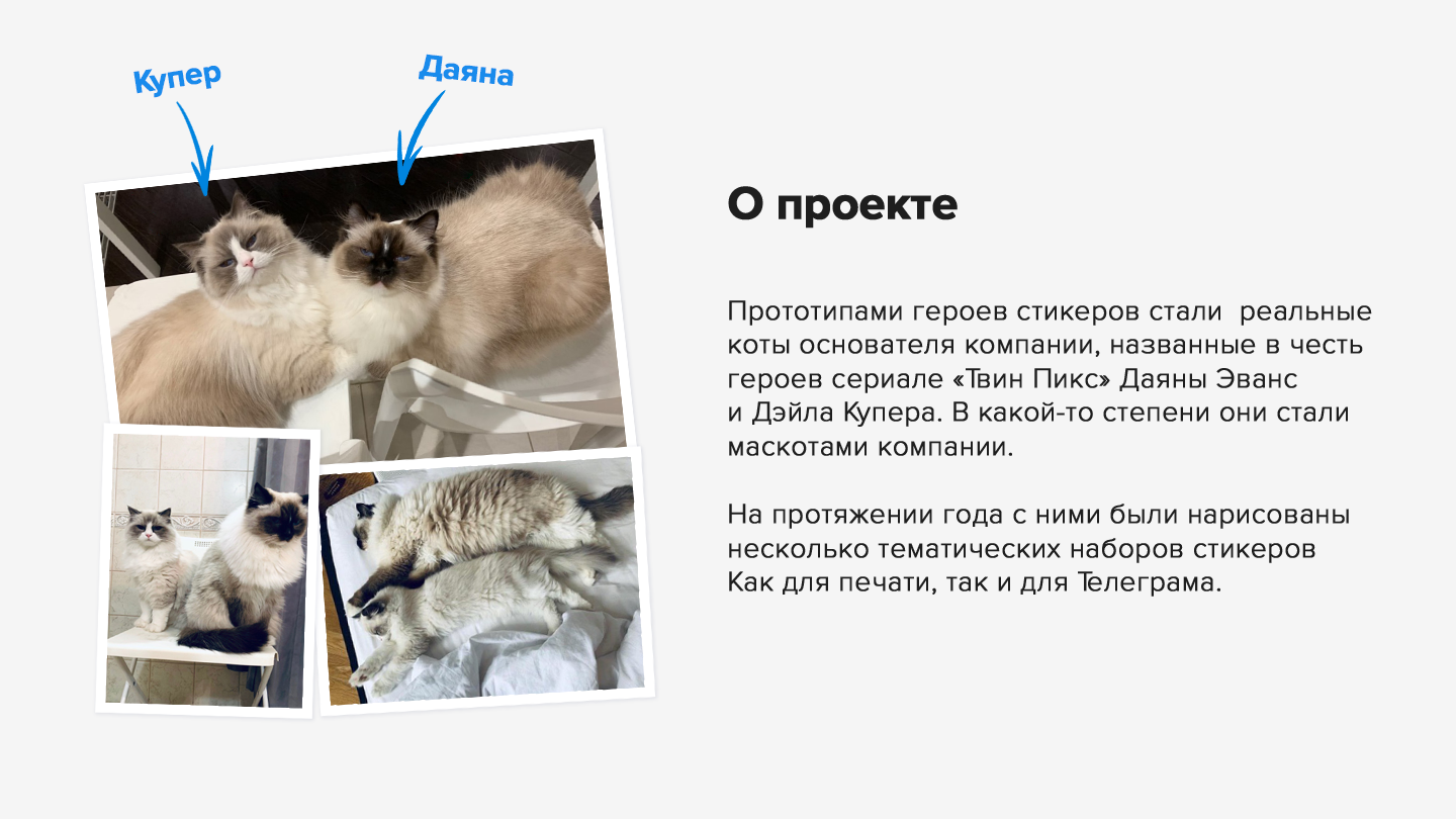 Даяна и Купер — Изображение №2 — Брендинг, Иллюстрация на Dprofile