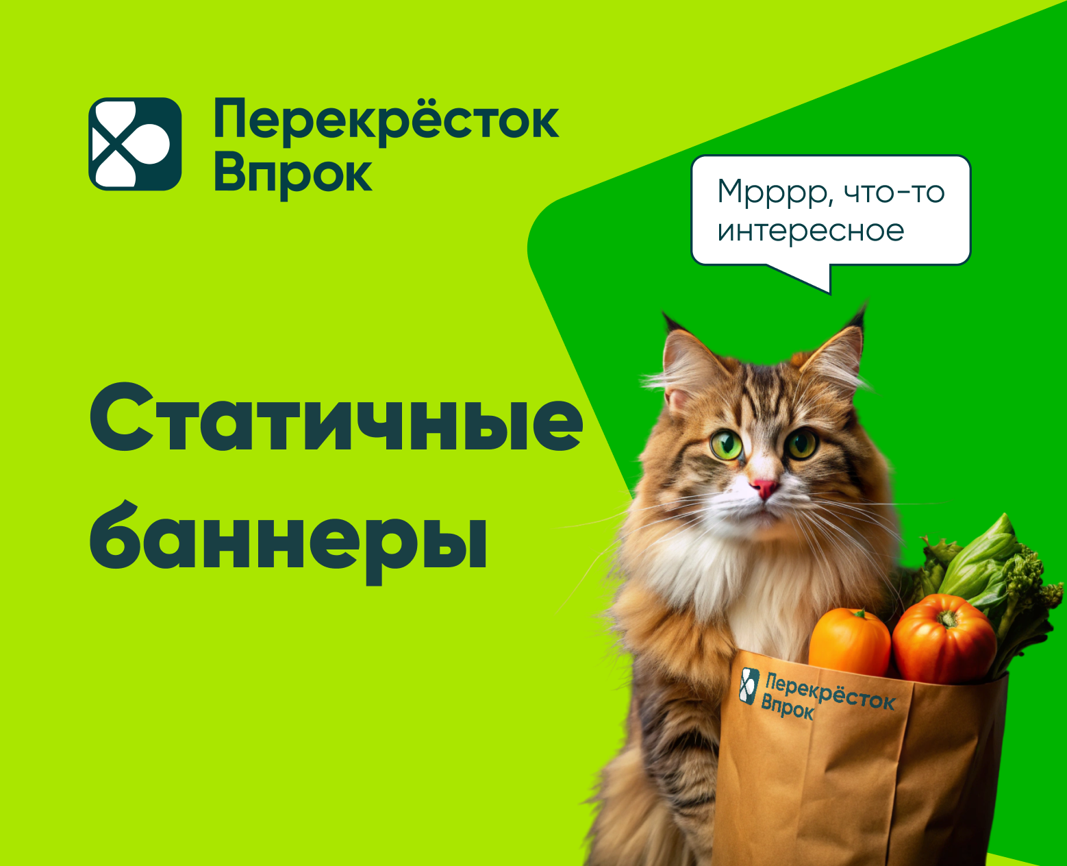 Статичные баннеры — Маркетинг на Dprofile