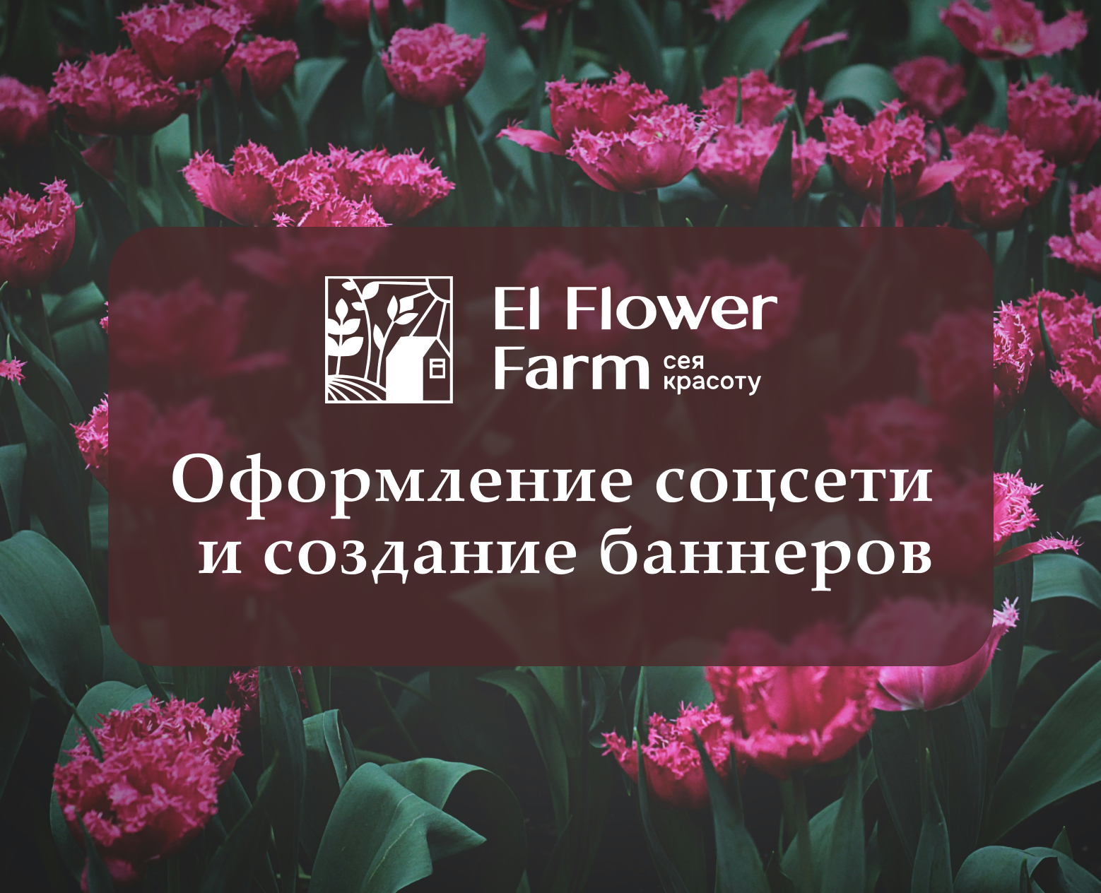 Оформление соцсети и создание баннеров — Графика, Маркетинг на Dprofile