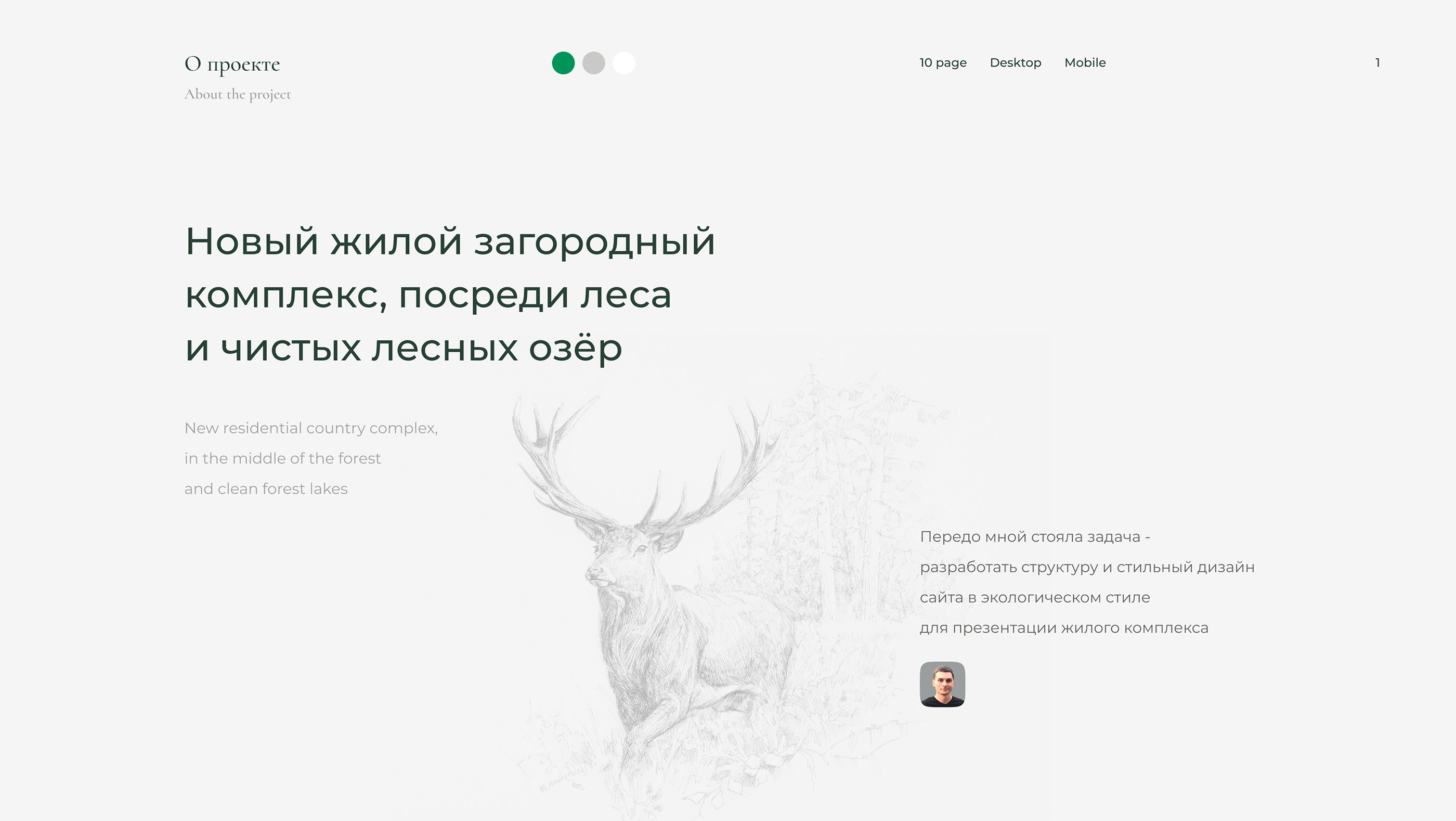 Загородный жилой комплекс | Корпоративный сайт — Изображение №2 — Интерфейсы на Dprofile