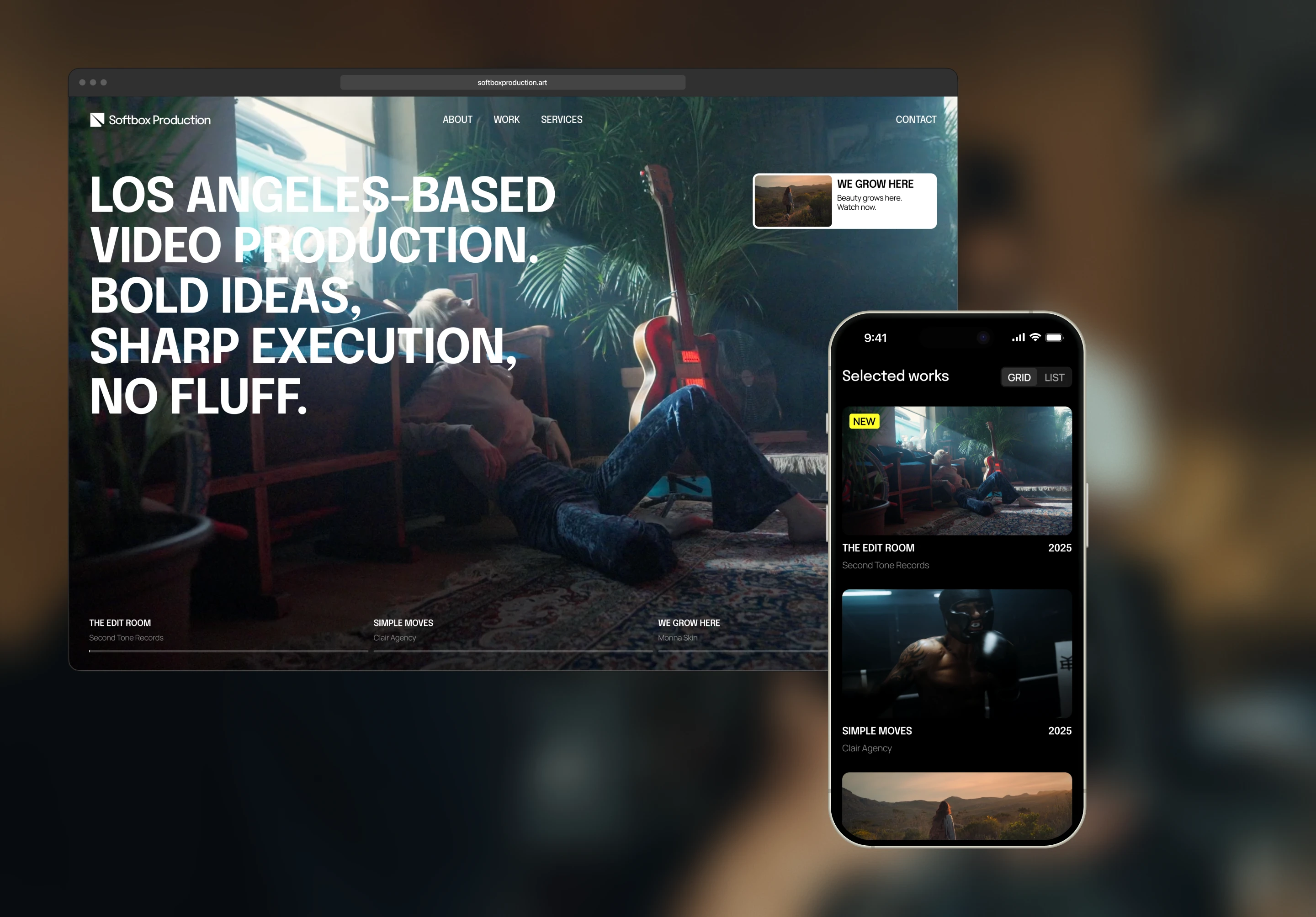 Softbox Production | Brand Identity & Website — Изображение №2 — Интерфейсы, Брендинг на Dprofile