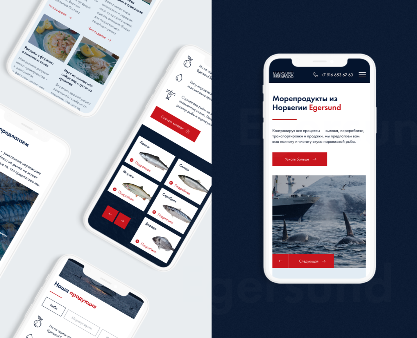 Морепродукты Egersund — Интерфейсы на Dprofile