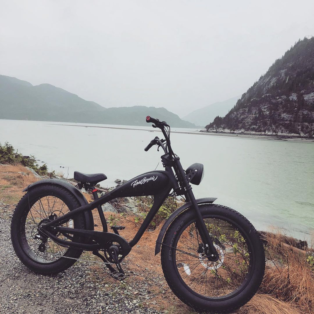 Heartbreaker - EBike lettering logotype — Изображение №49 — Брендинг, Графика на Dprofile