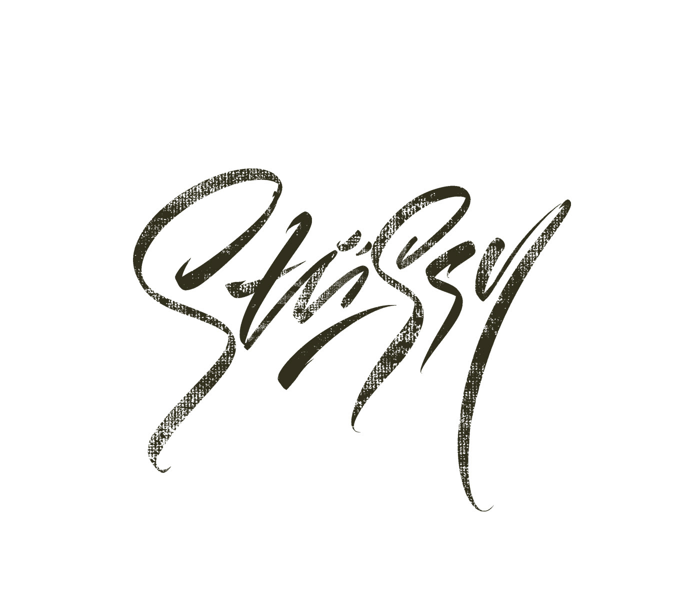 Stüssy - collection of lettering sketches — Изображение №29 — Брендинг, Графика на Dprofile