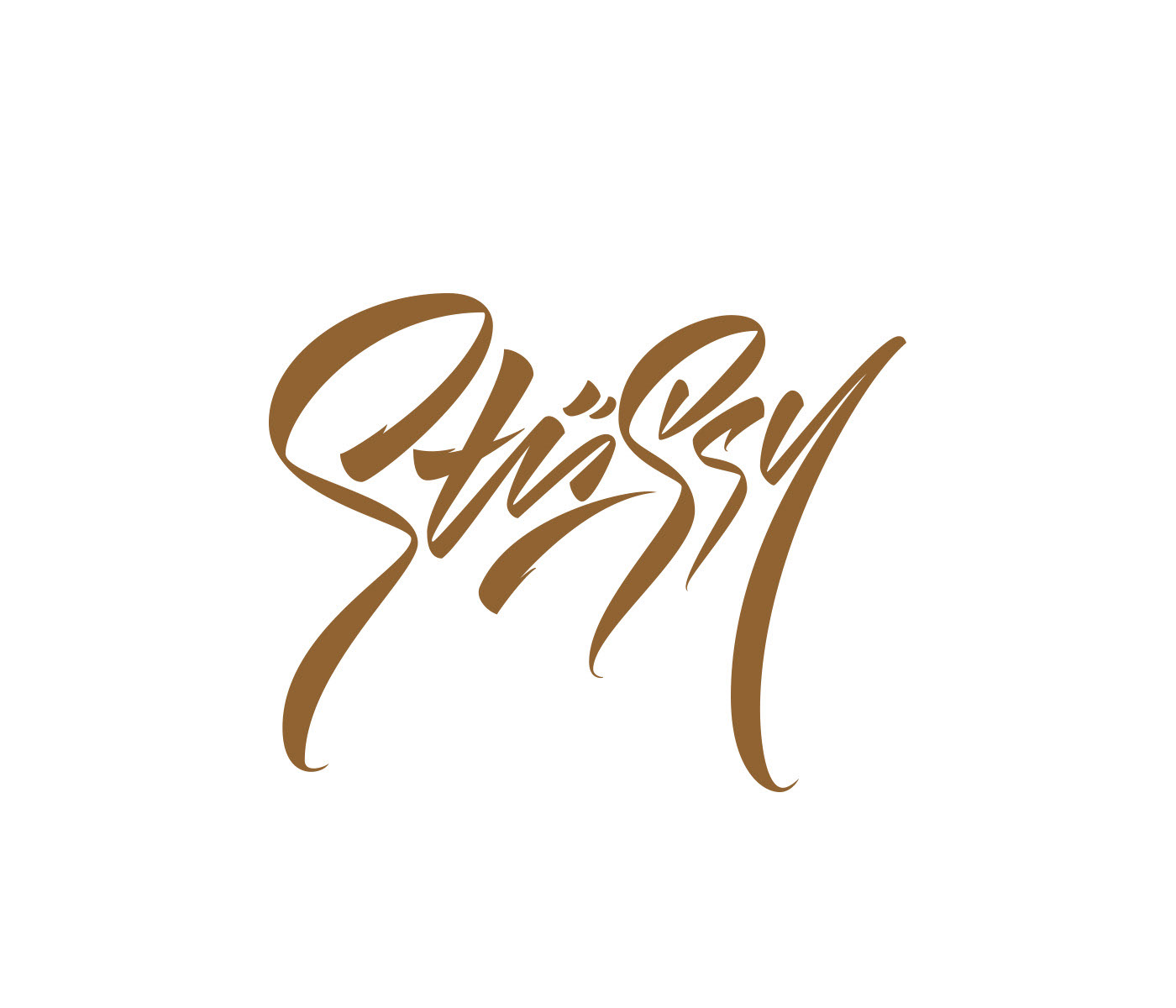 Stüssy - collection of lettering sketches — Изображение №1 — Брендинг, Графика на Dprofile