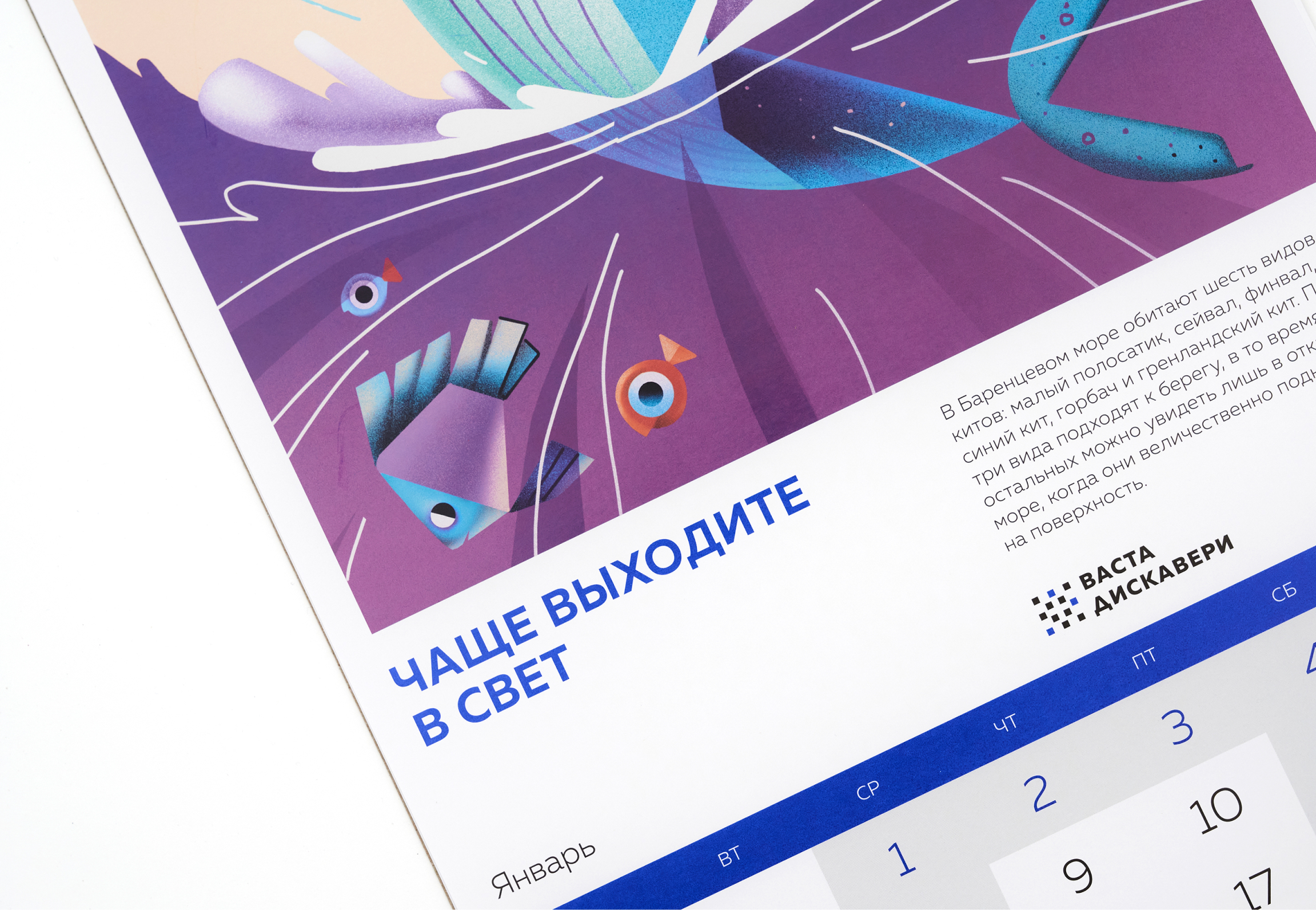 «Мудрые советы живой природы» — календарь для ВАСТА ДИСКАВЕ… — Изображение №8 — Иллюстрация, Графика на Dprofile