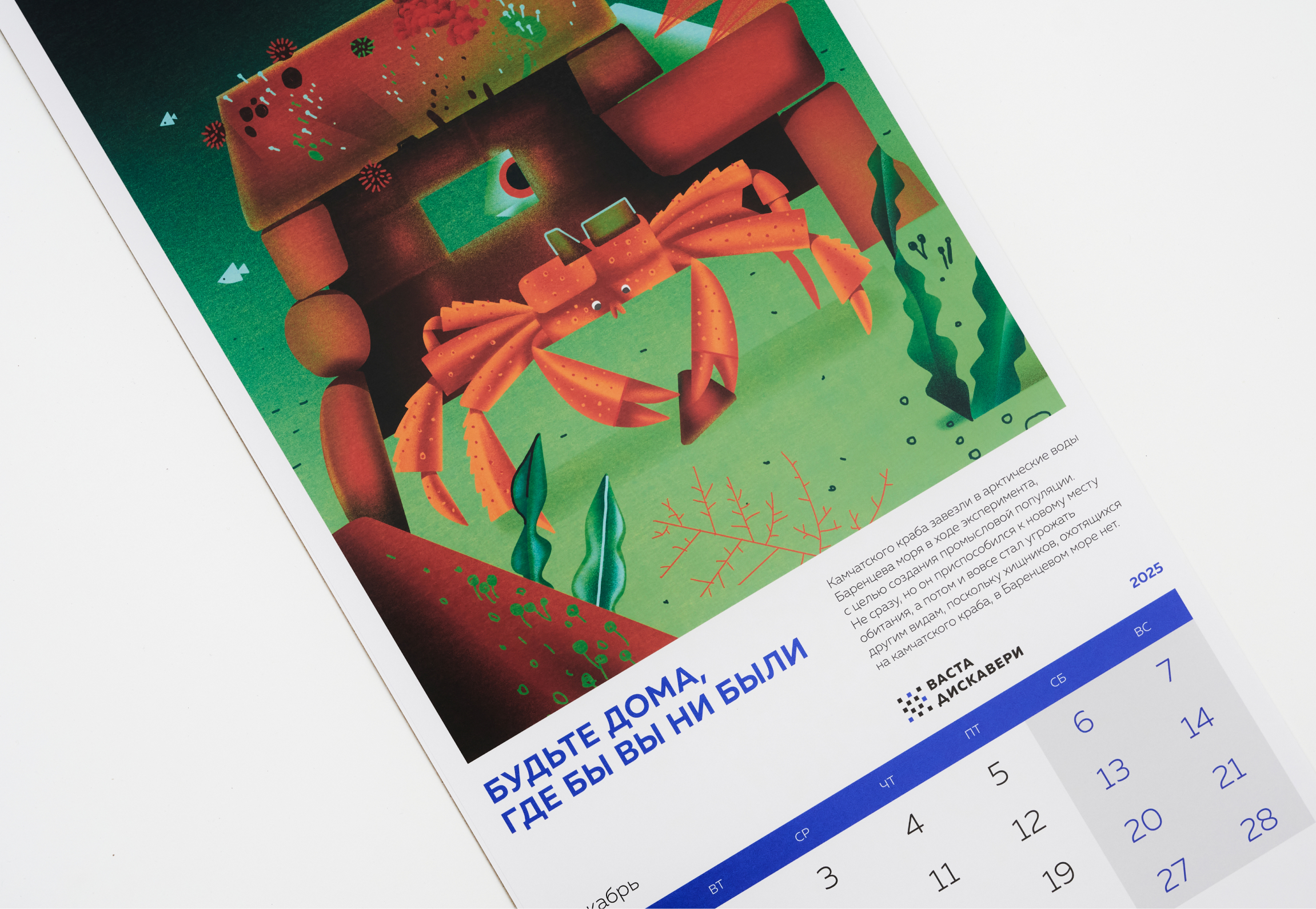 «Мудрые советы живой природы» — календарь для ВАСТА ДИСКАВЕ… — Изображение №21 — Иллюстрация, Графика на Dprofile