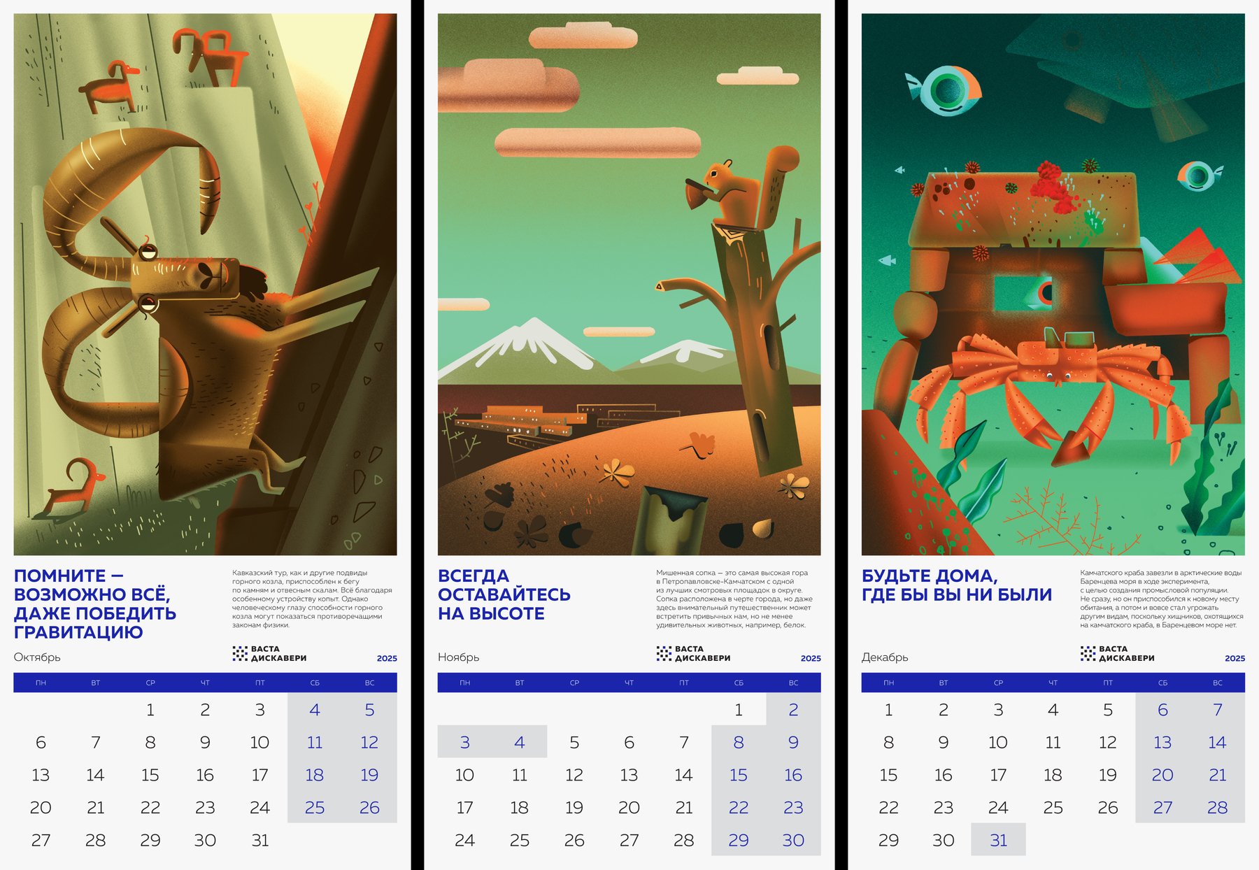 «Мудрые советы живой природы» — календарь для ВАСТА ДИСКАВЕ… — Изображение №18 — Иллюстрация, Графика на Dprofile