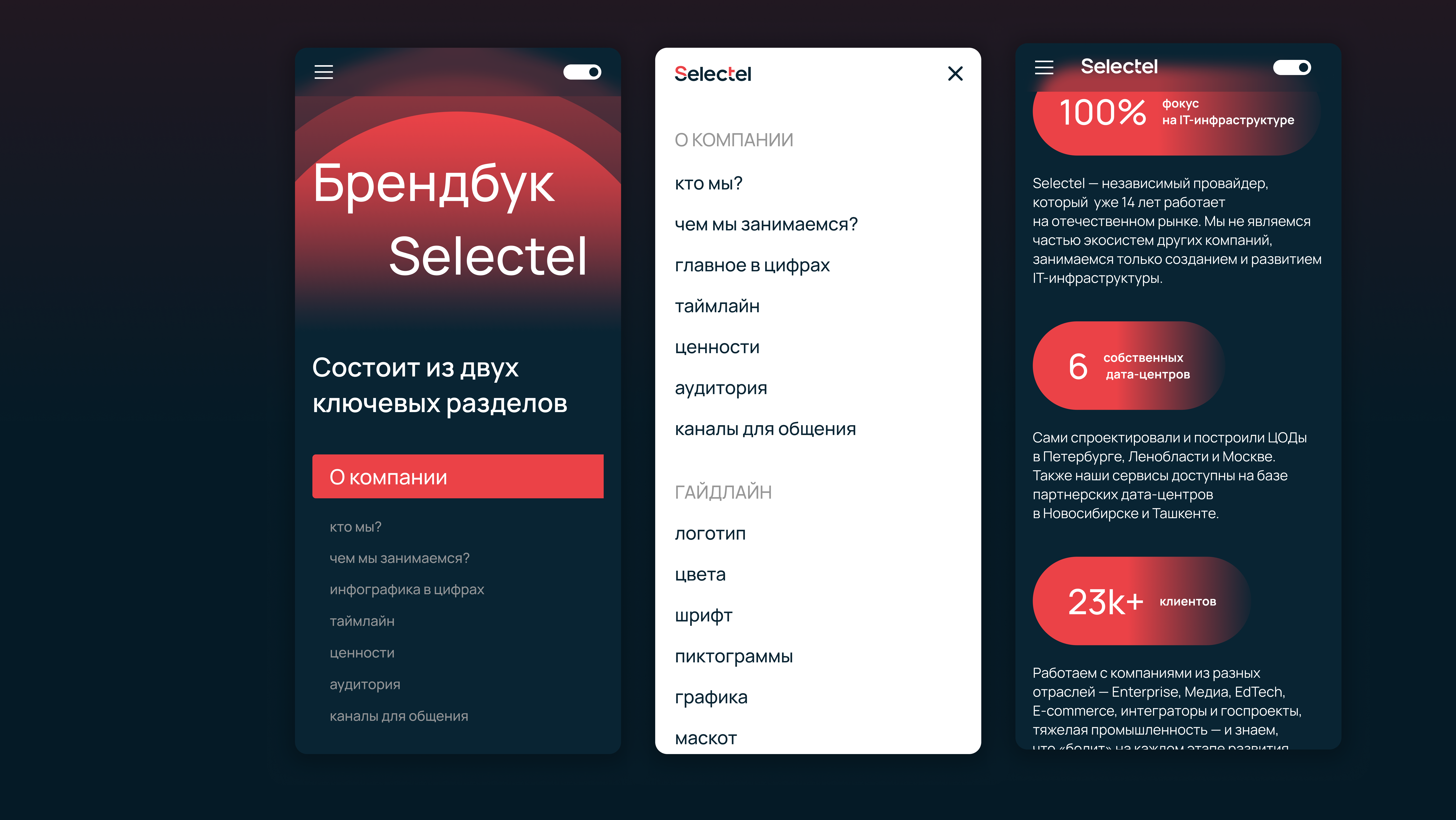 Selectel Brandbook — Изображение №6 — Интерфейсы, Брендинг на Dprofile