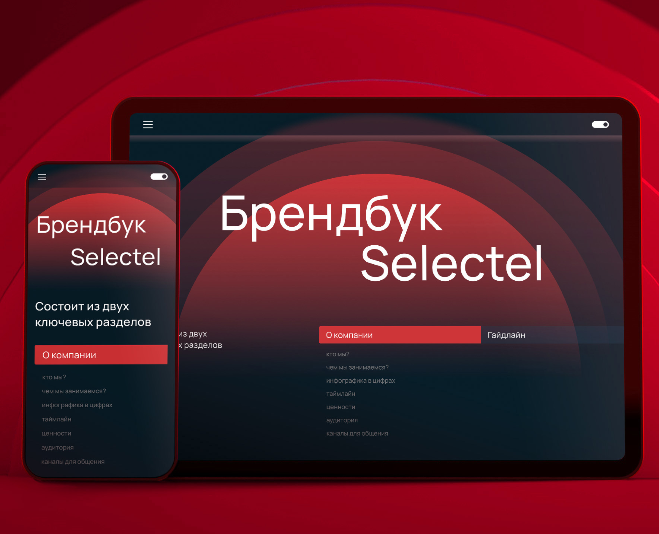Selectel Brandbook — Интерфейсы, Брендинг на Dprofile