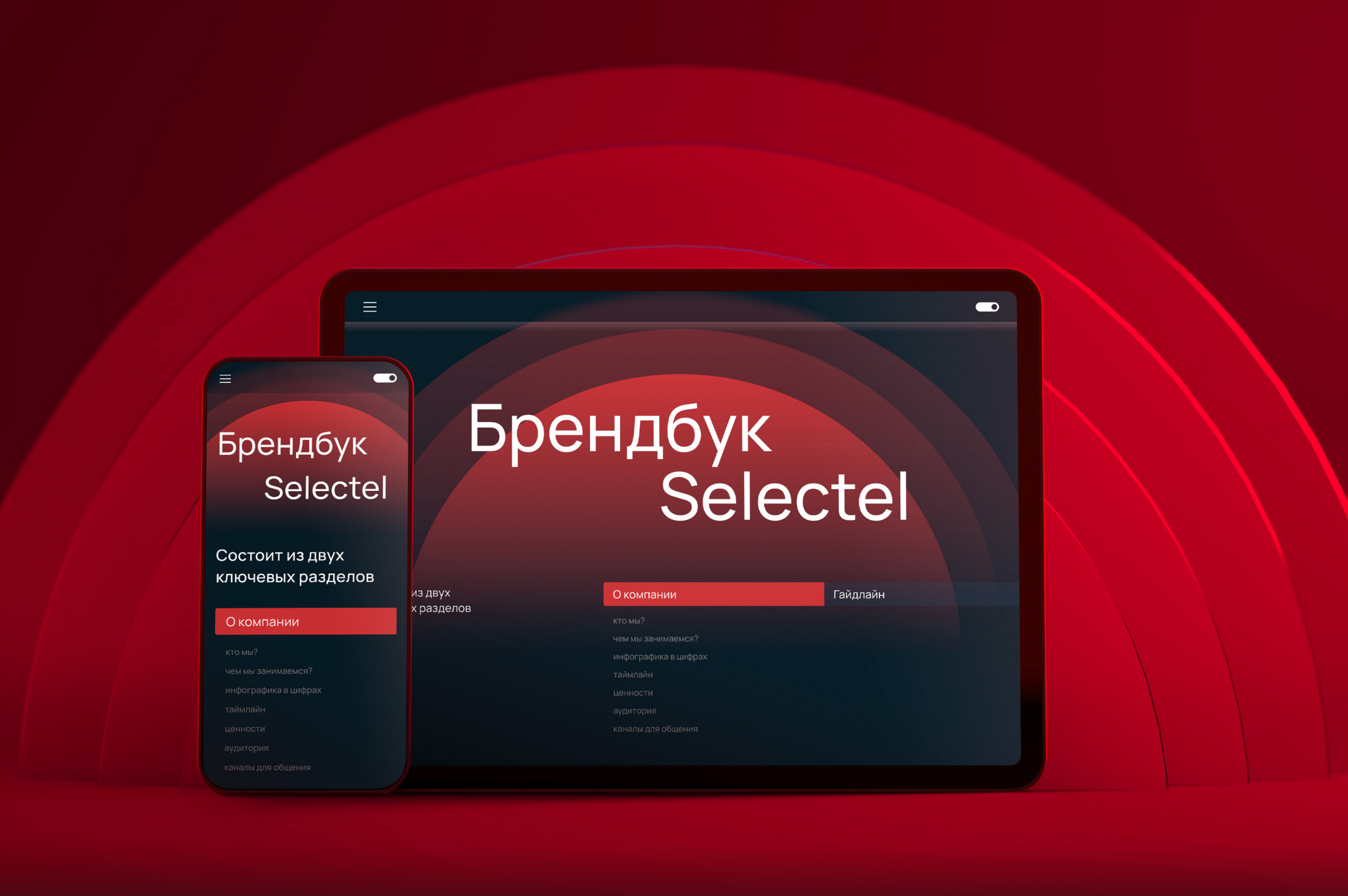 Selectel Brandbook — Изображение №1 — Интерфейсы, Брендинг на Dprofile