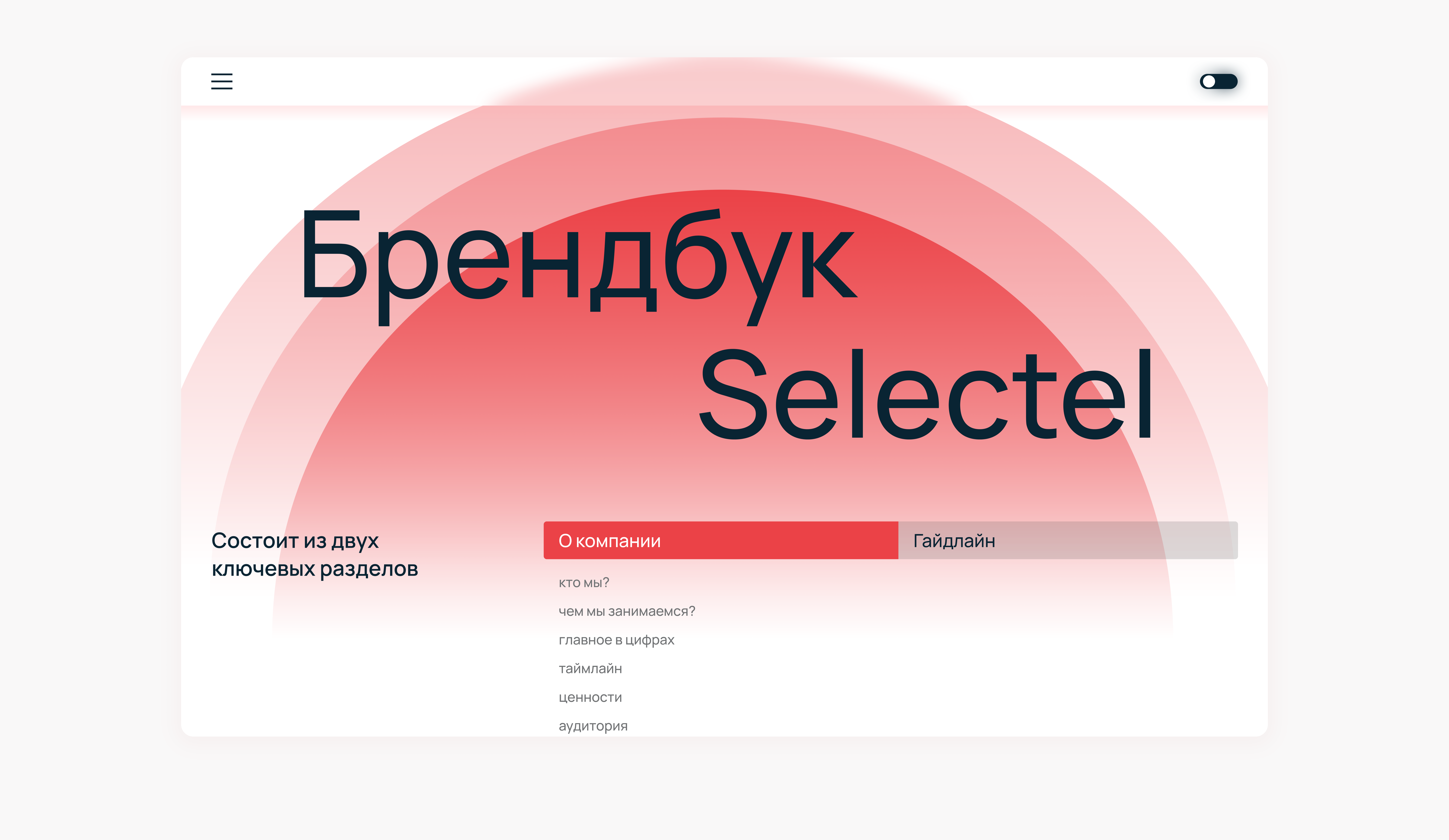 Selectel Brandbook — Изображение №13 — Интерфейсы, Брендинг на Dprofile