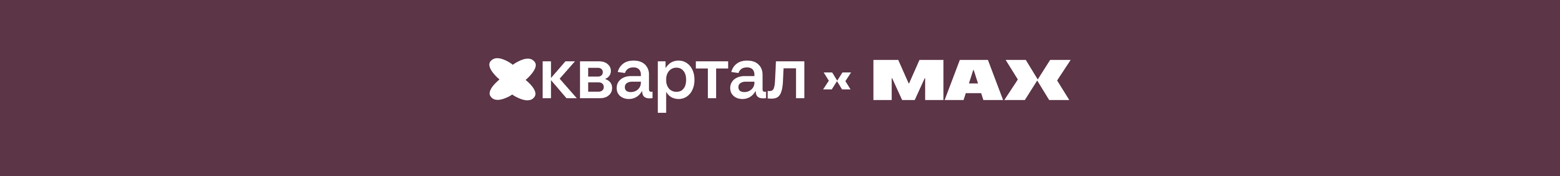 Бренд-концепция для MAX — Изображение №26 — Брендинг, Графика на Dprofile