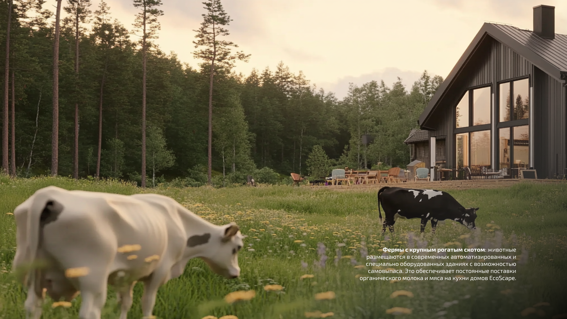 EcoScape: нейровизуализация поселка будущего — Изображение №28 — Анимация, Маркетинг на Dprofile
