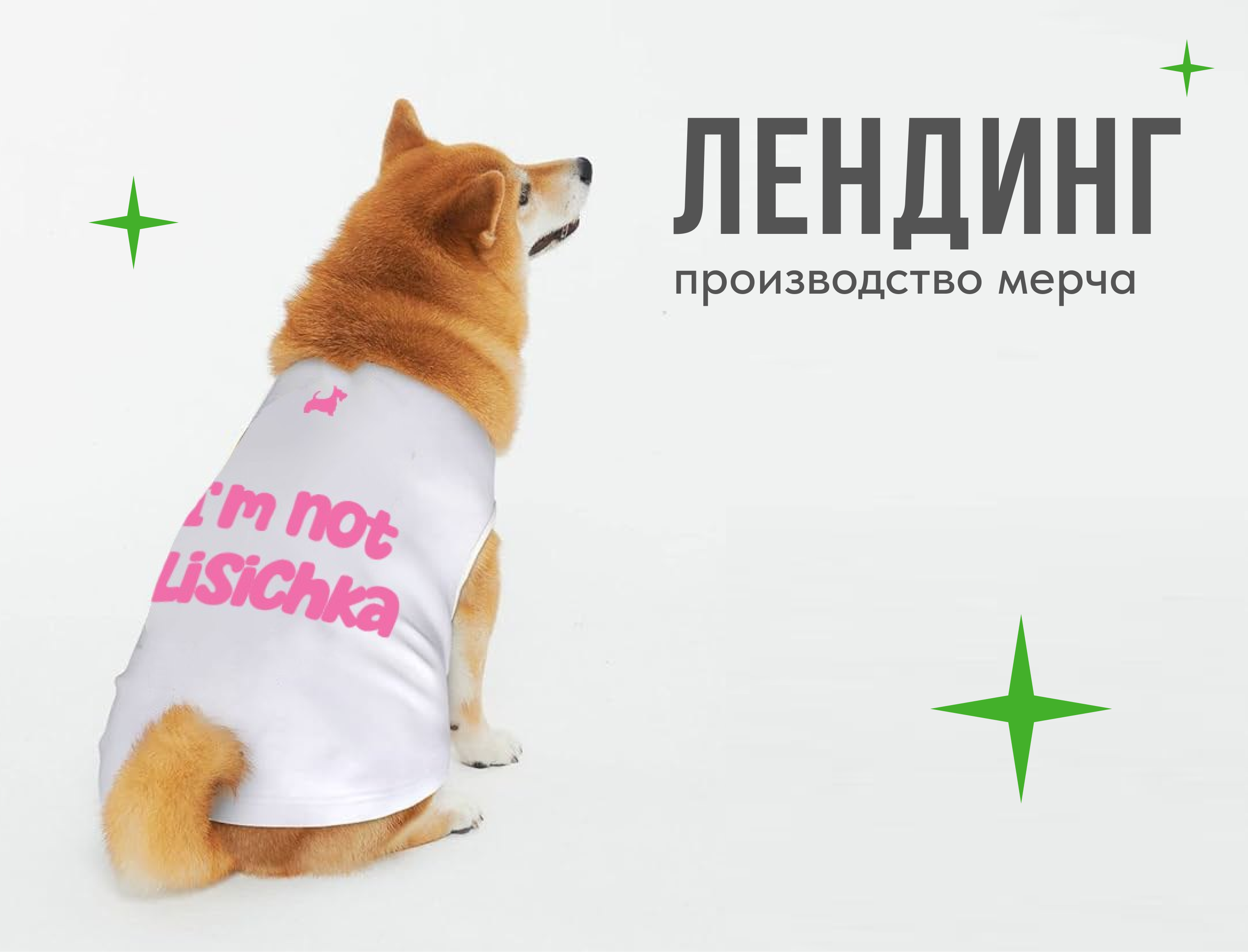 Лендинг производство мерча и брендирование одежды — Изображение №1 — Интерфейсы на Dprofile