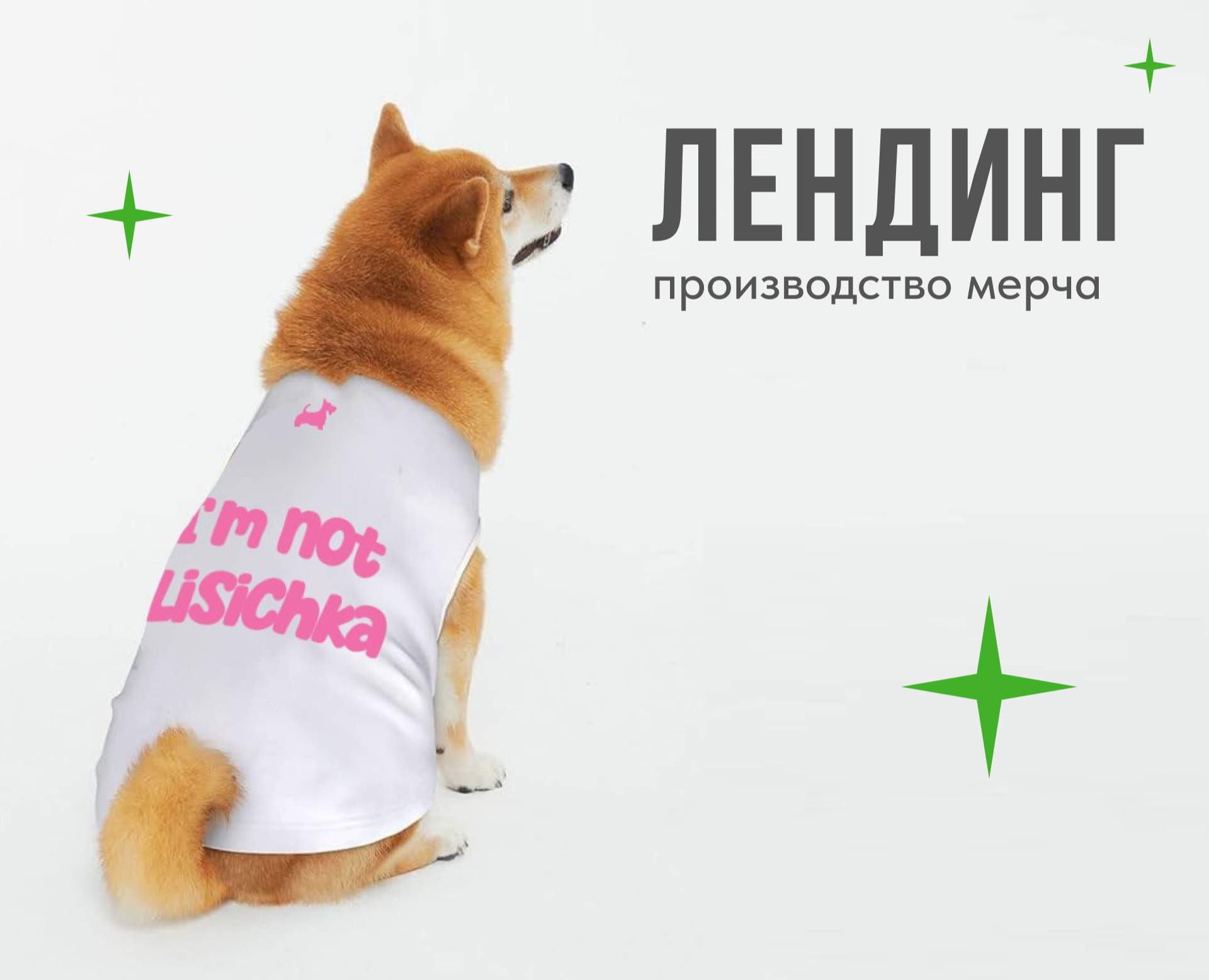 Лендинг производство мерча и брендирование одежды — Интерфейсы на Dprofile