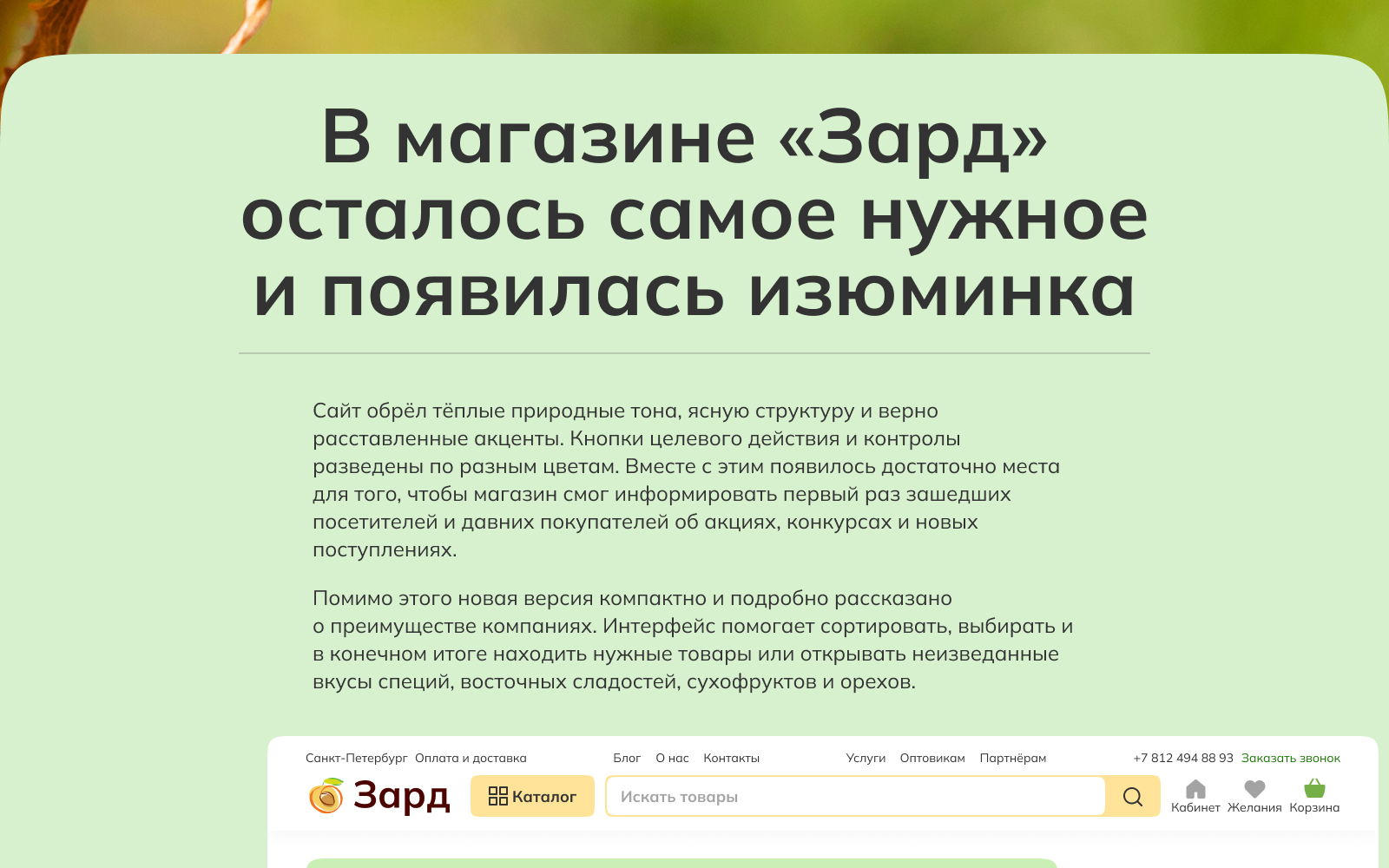 Зард Редизайн интернет-магазина — Изображение №7 — Интерфейсы на Dprofile