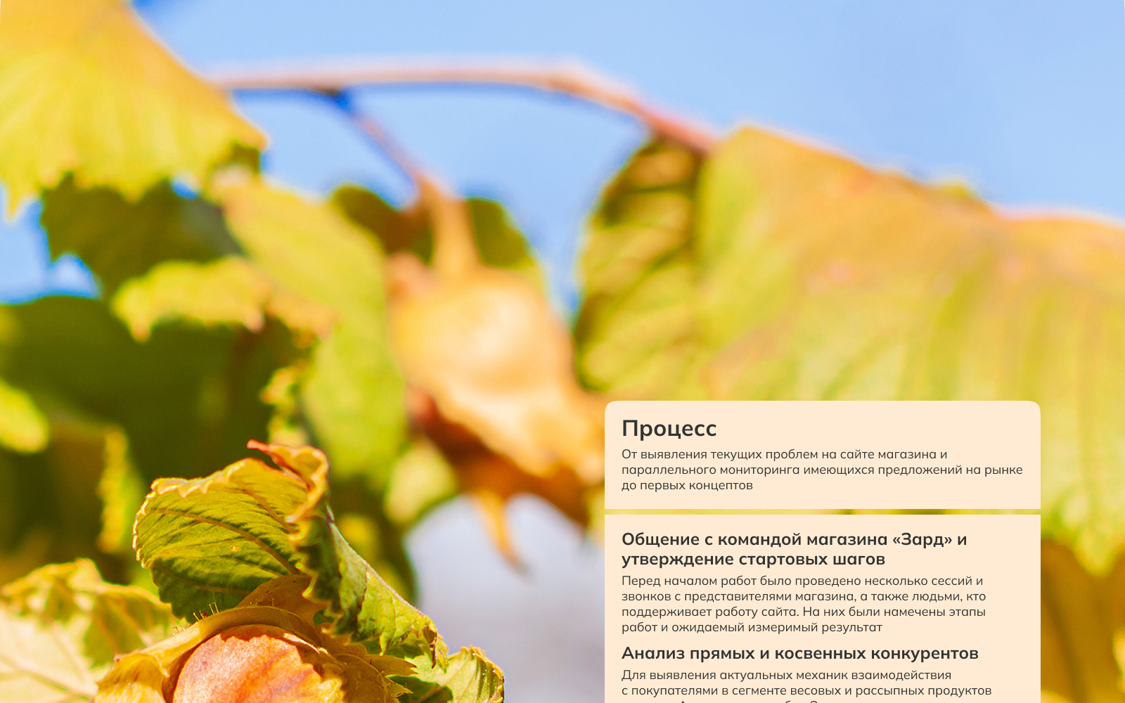 Зард Редизайн интернет-магазина — Изображение №5 — Интерфейсы на Dprofile