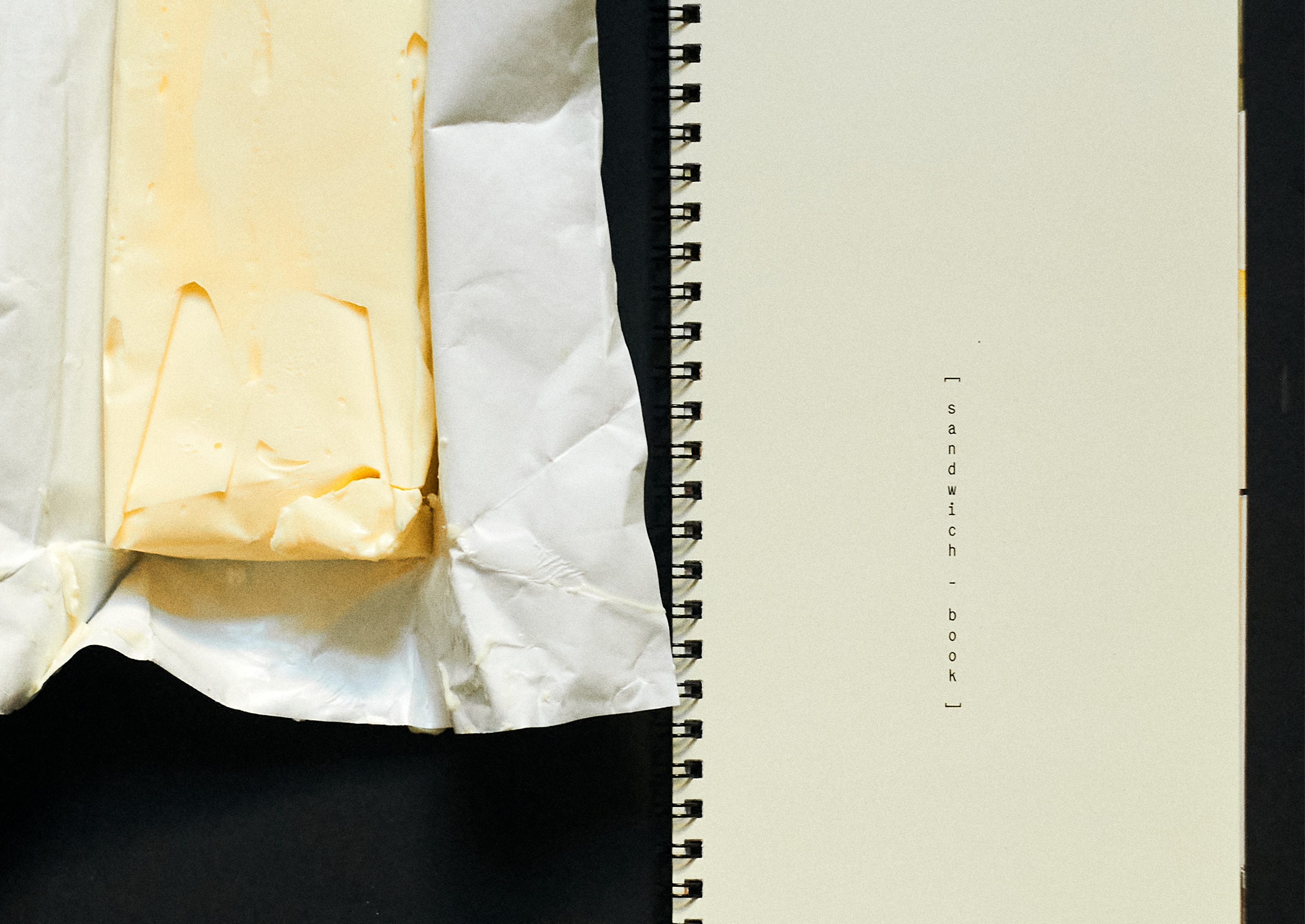 Sandwich book — Изображение №12 — Графика на Dprofile