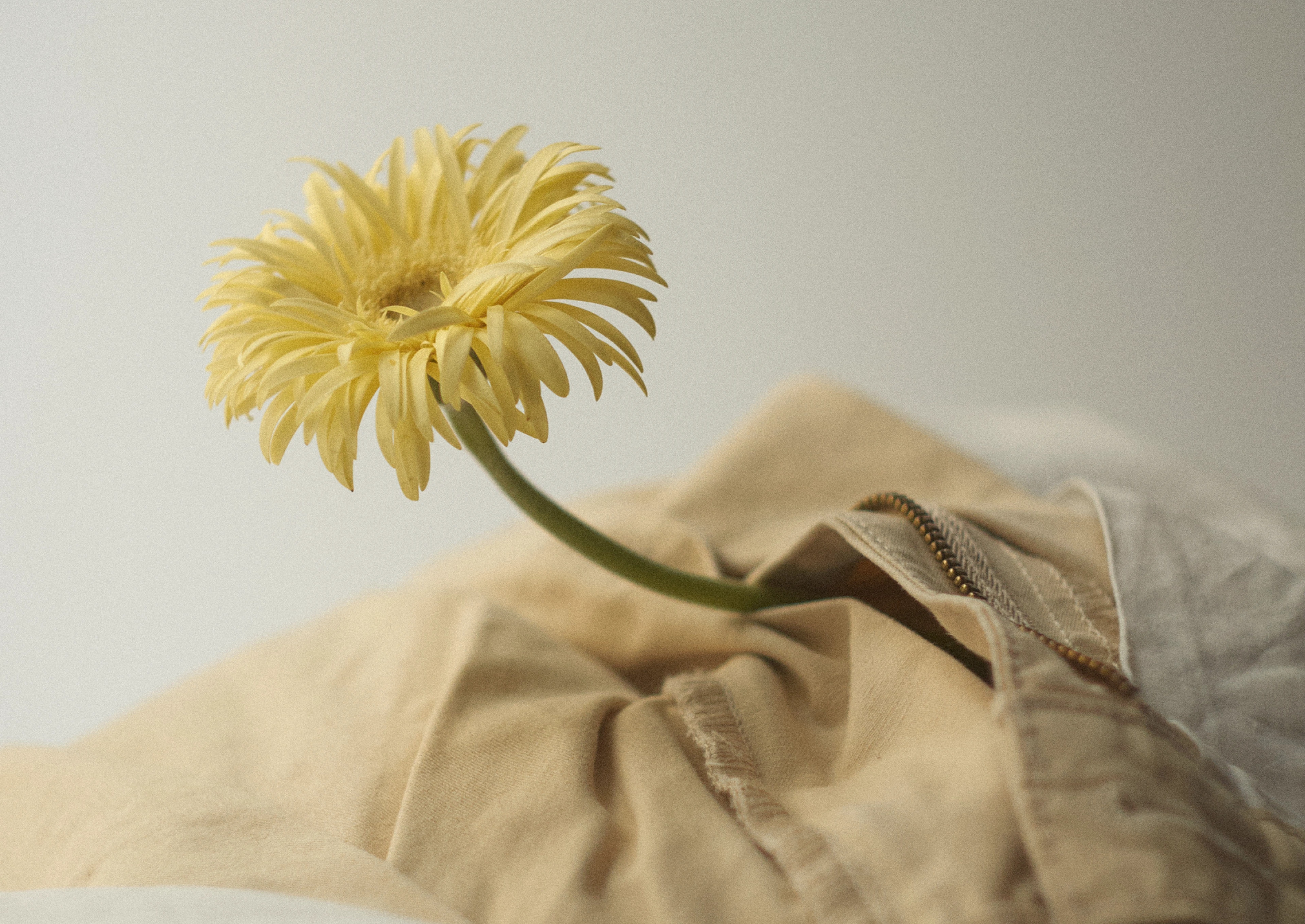 F:laundry | Photo series — Изображение №13 — Графика на Dprofile