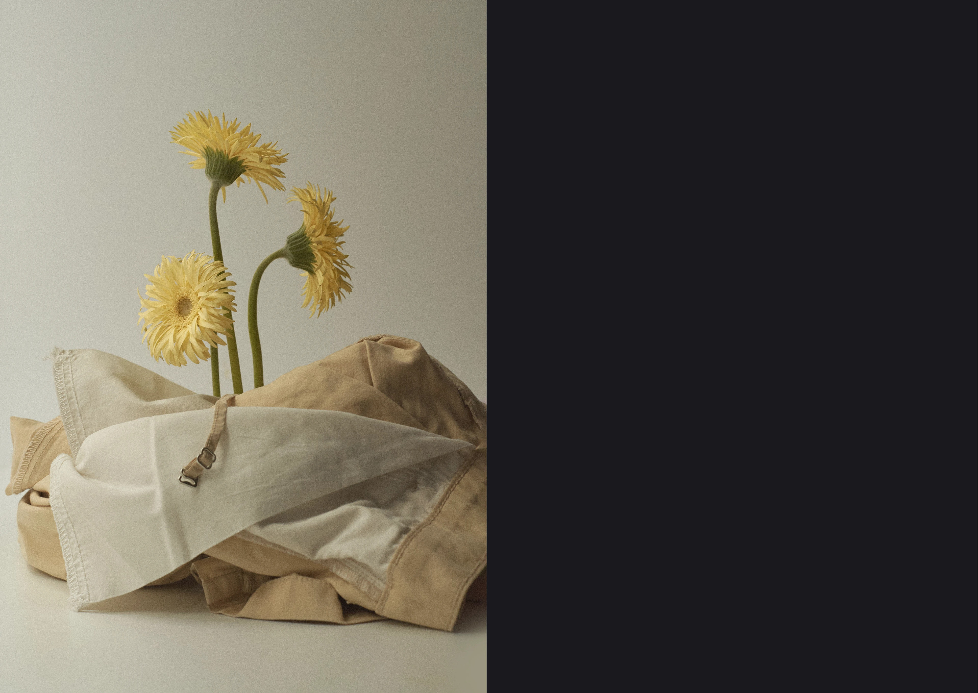 F:laundry | Photo series — Изображение №12 — Графика на Dprofile