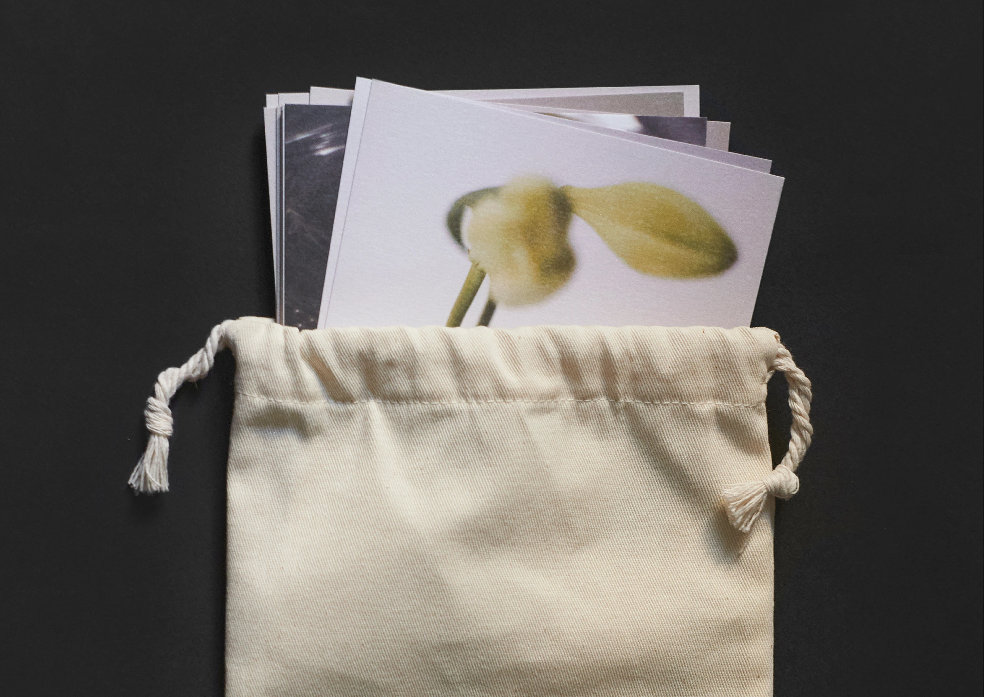 F:laundry | Photo series — Изображение №1 — Графика на Dprofile