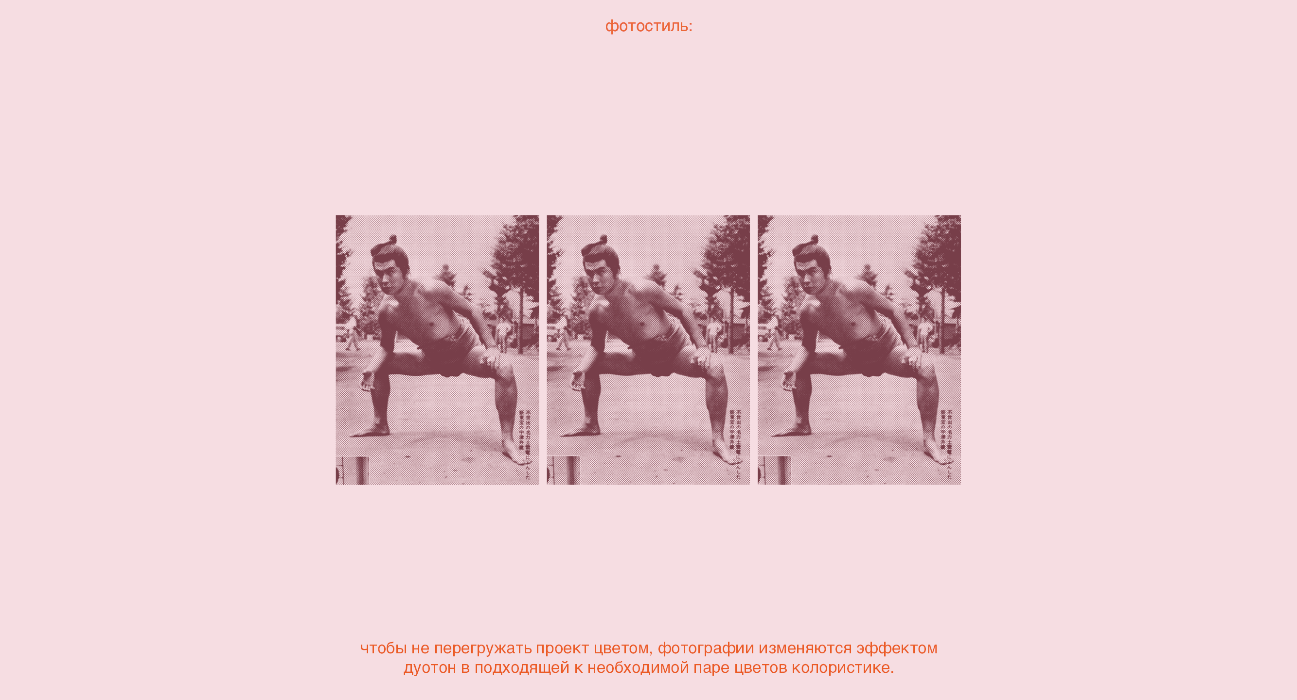 ребрендинг shintoho — Изображение №9 — Брендинг, Анимация на Dprofile