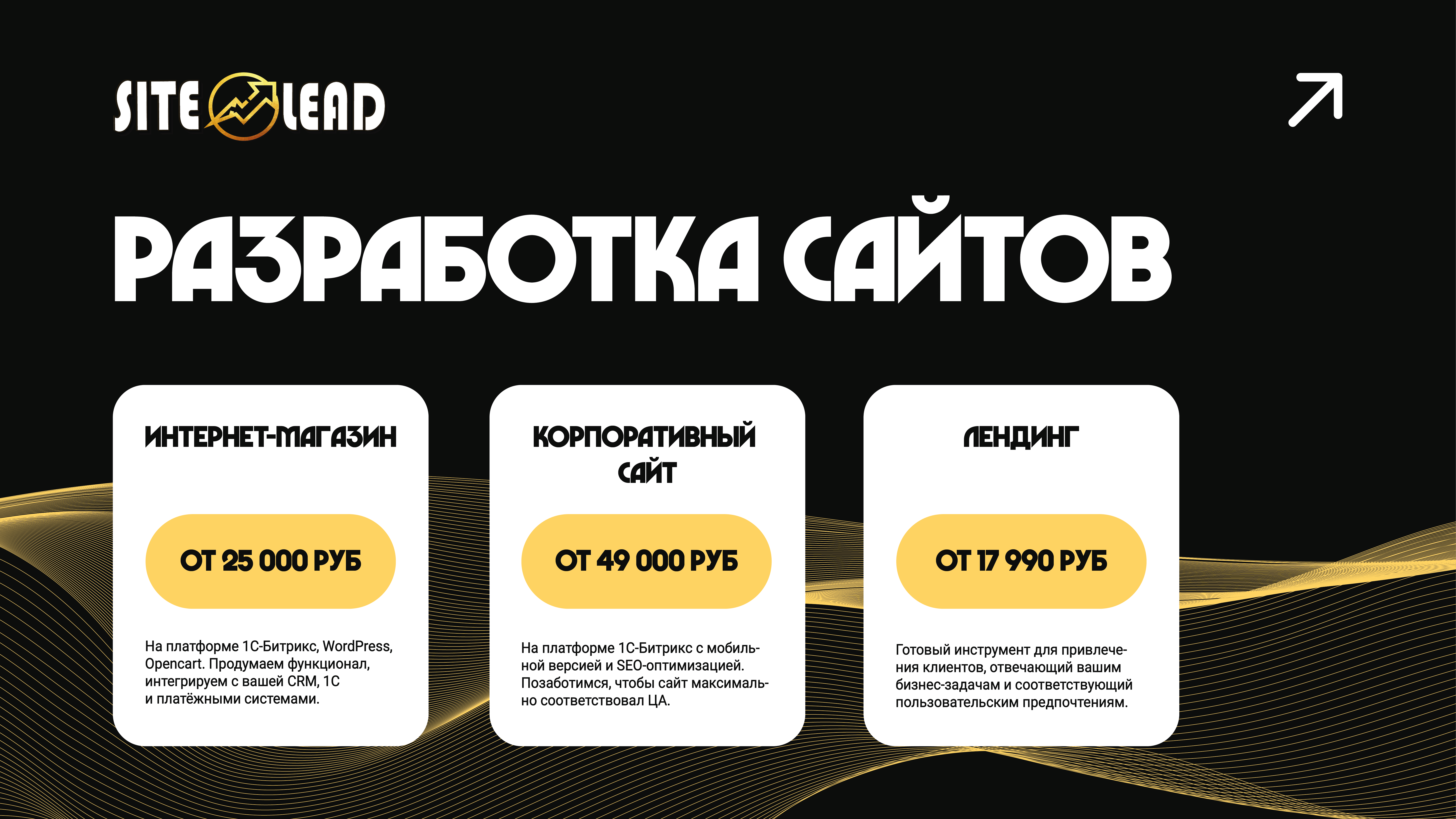 IT веб-студия — Изображение №10 — Маркетинг на Dprofile