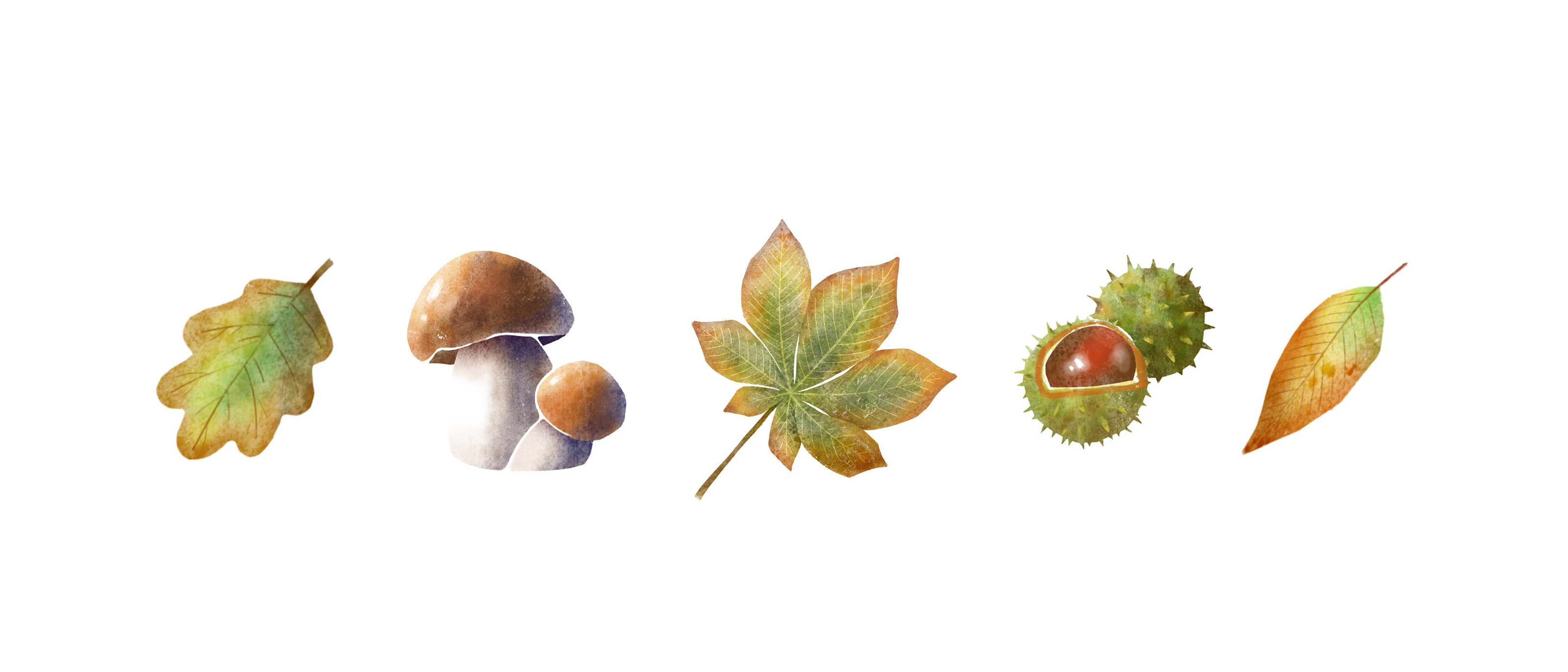 Акварельный паттерн Cozy Autumn — Изображение №8 — Иллюстрация на Dprofile